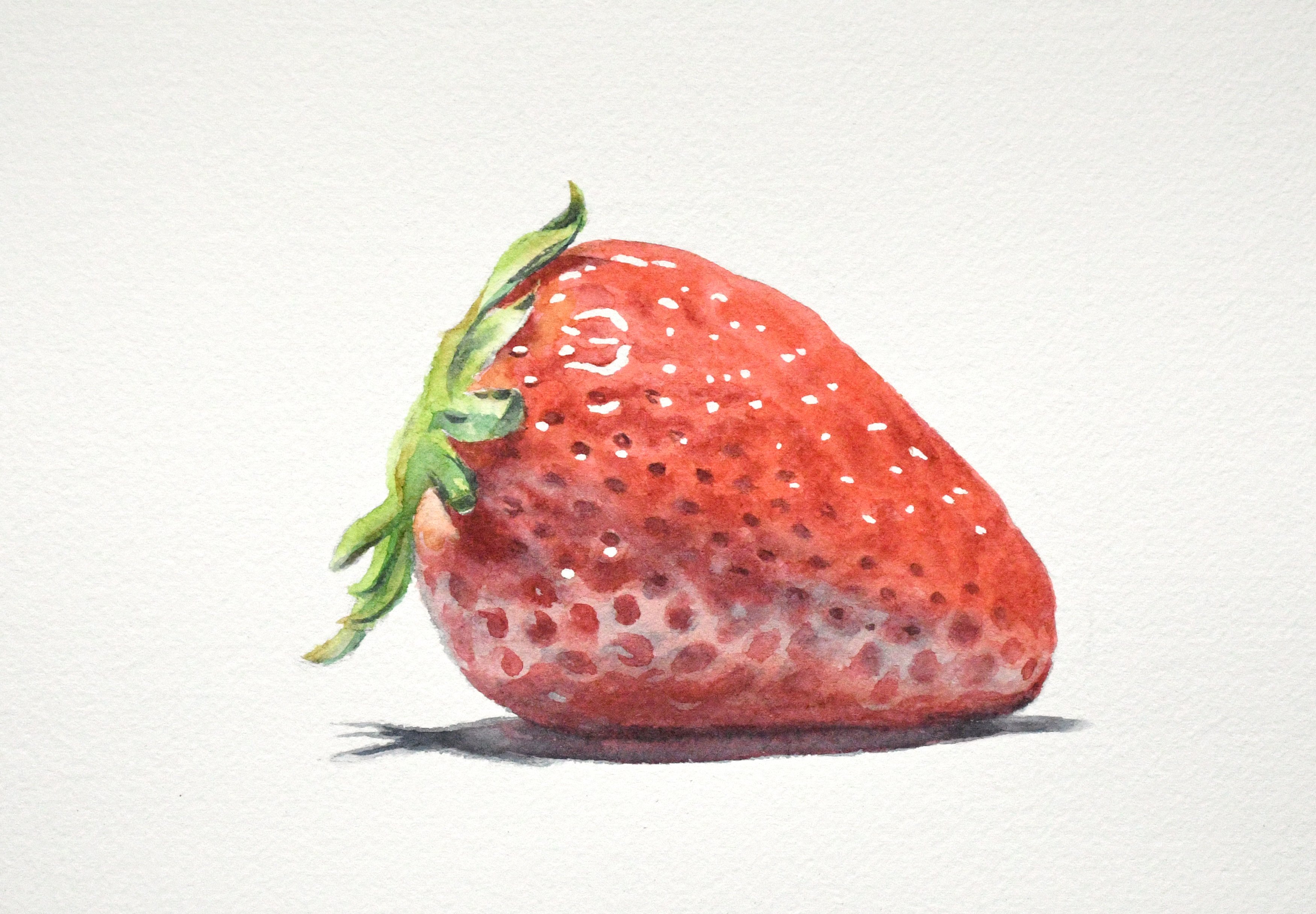 画材ごとの自分なりの色選びについて｜Naoya Ohtani