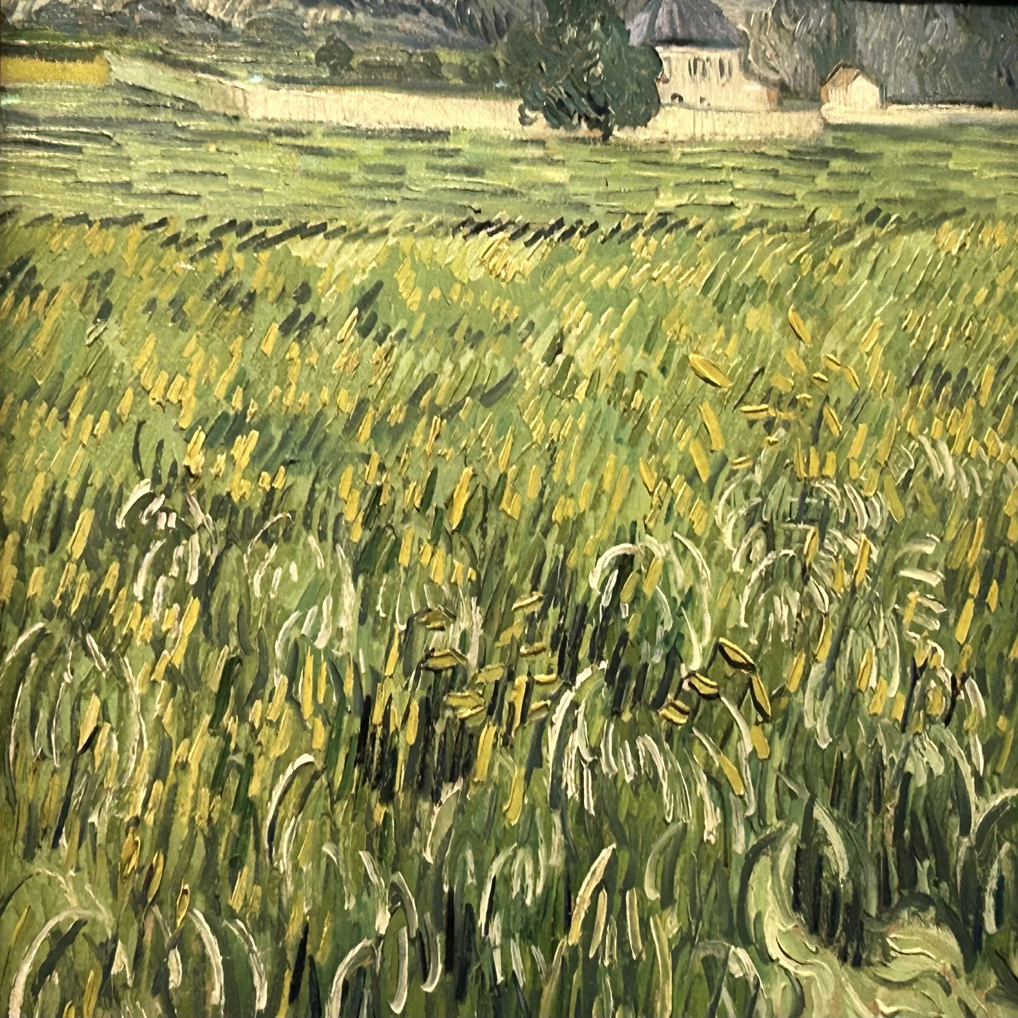 子供のためのオルセー美術館(216)麦畑のひとつの花/ゴッホ・キッチン 