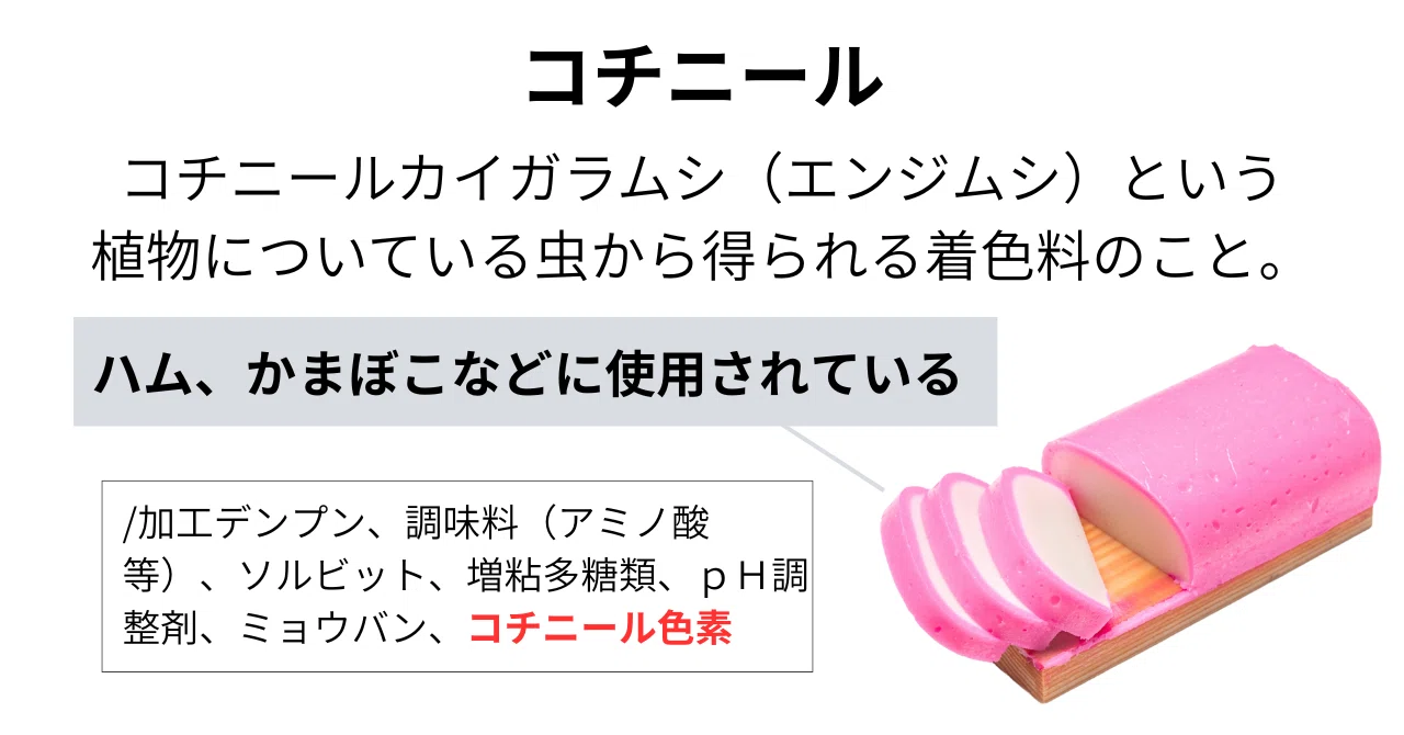 コチニール 色素 虫