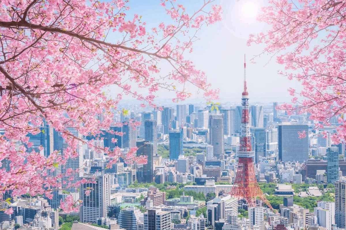 Spring Papan What Is the Average Cost of Short-Term Apartment Rentals in Tokyo ...