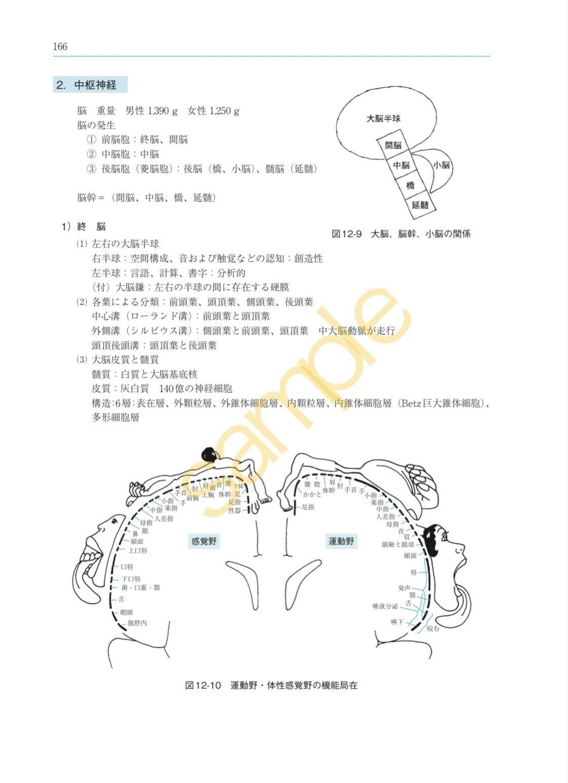 2026年版】理学療法士国家試験対策におすすめの参考書4選｜特徴