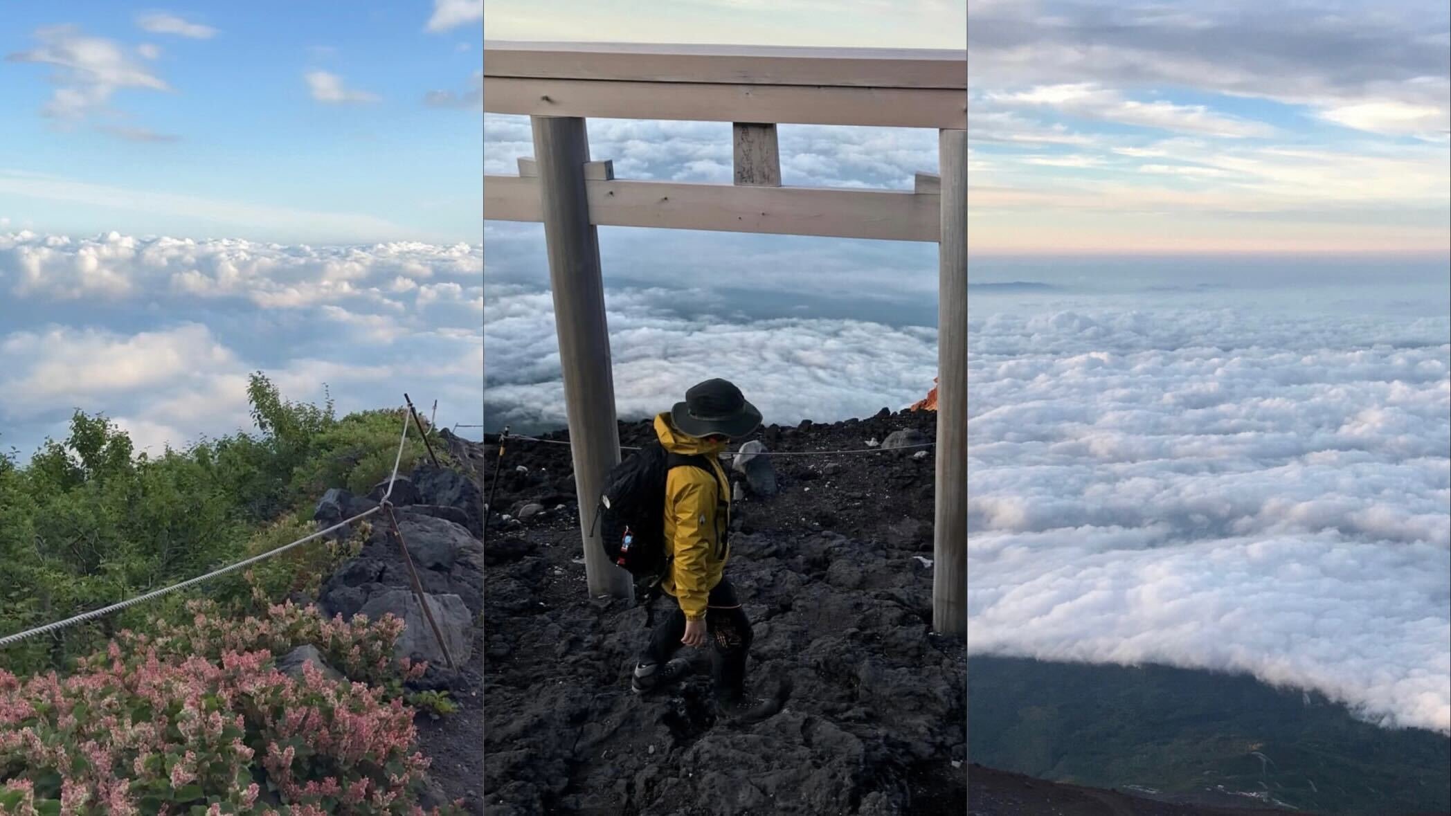 明日富士山に登る、はなし｜SeeSO｜AMBL株式会社 UXD