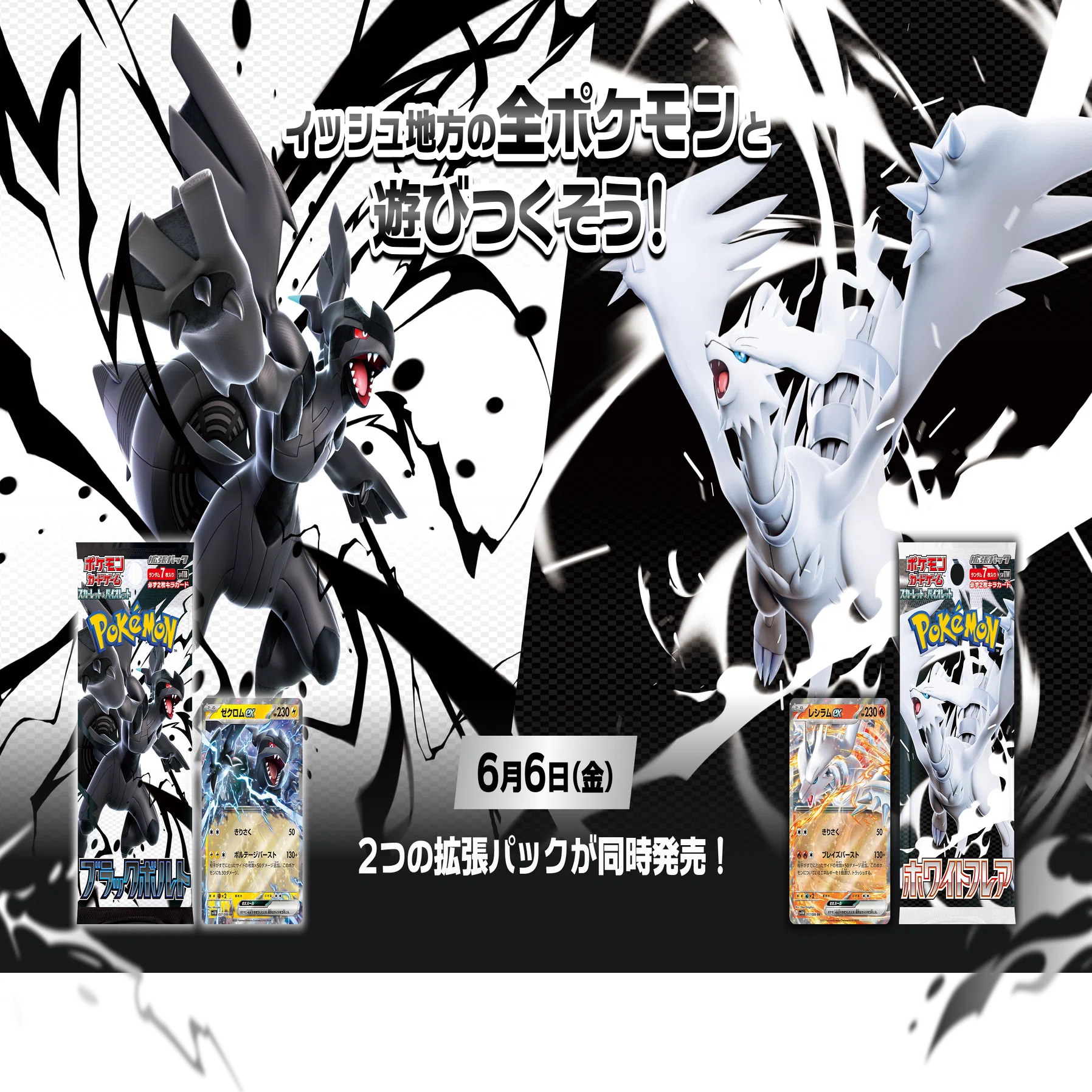 2025年のポケカを振り返る｜むらにい