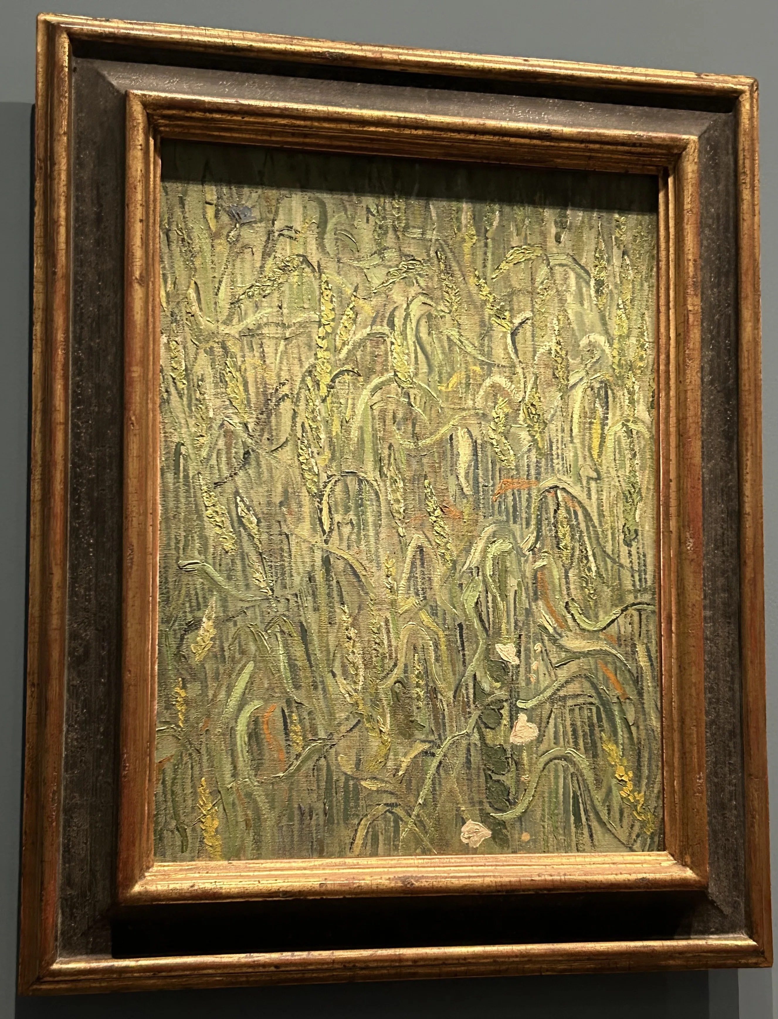 子供のためのオルセー美術館(216)麦畑のひとつの花/ゴッホ・キッチン