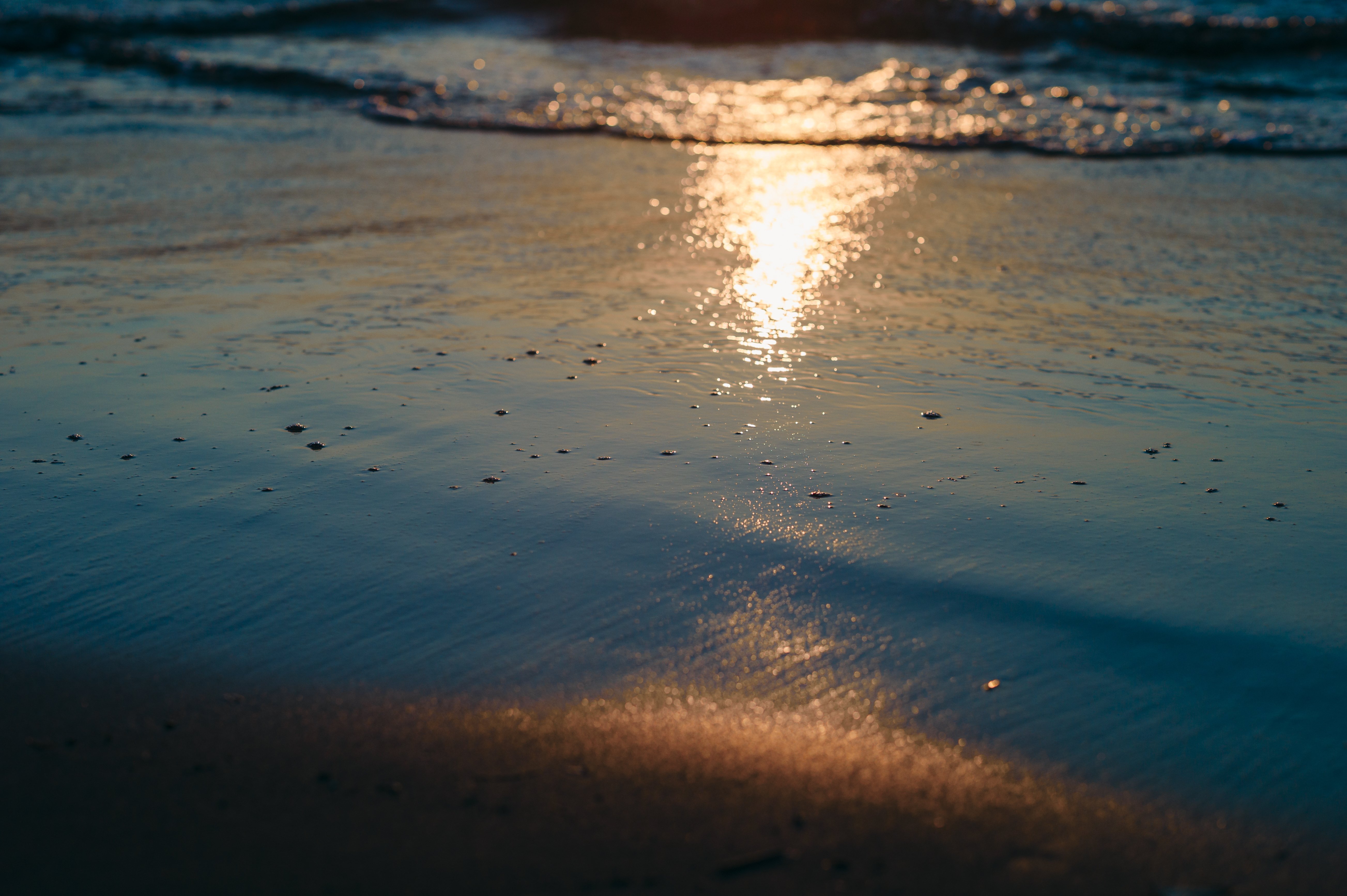 江ノ島の黄昏 01.新江ノ島水族館（テラス付近） – 湘南サンセット