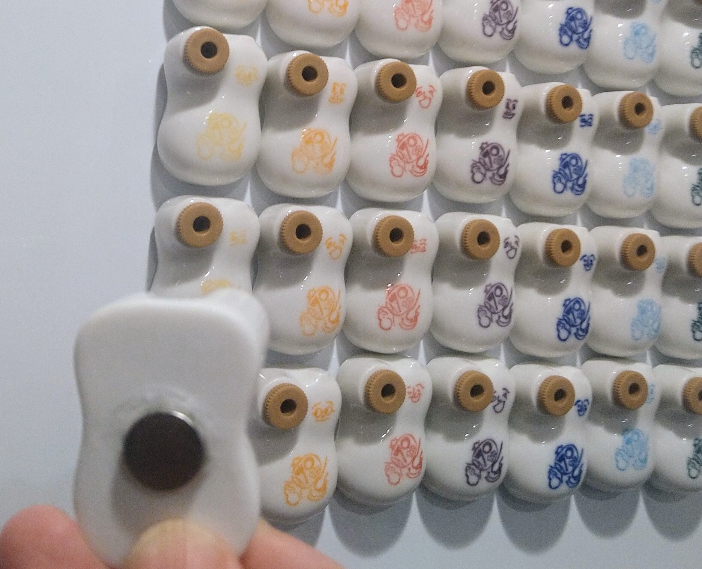 金のひょうちゃん挑戦結果｜新横浜