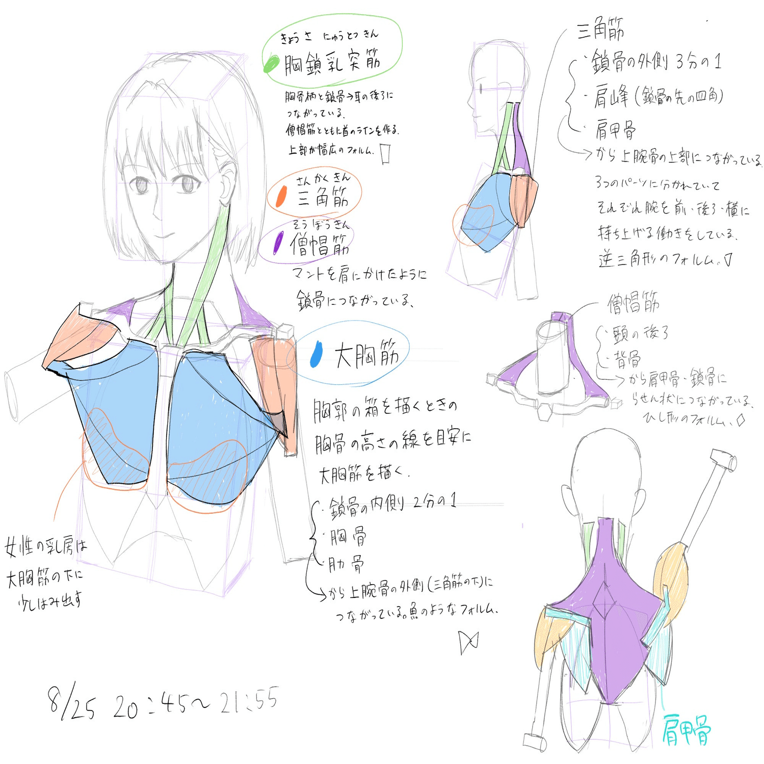 美術成績1のオタクが30代からお絵描きはじめてみた。1ヶ月目｜ハコ