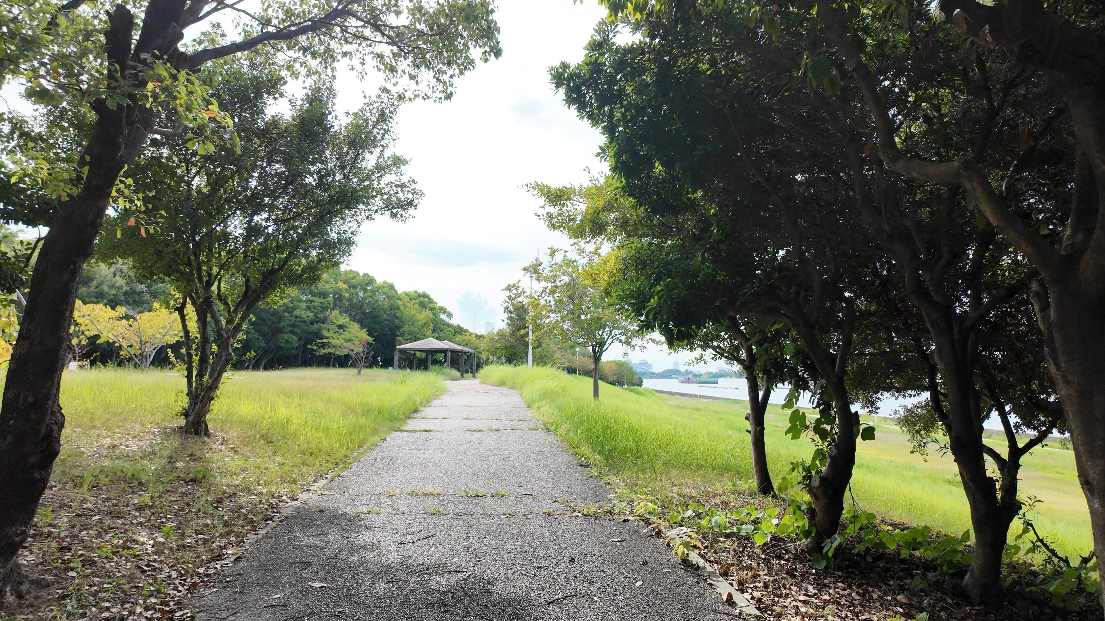 新宝緑地】ドッグランと魚が跳ねる海辺の残暑散歩｜Masami Ikawa