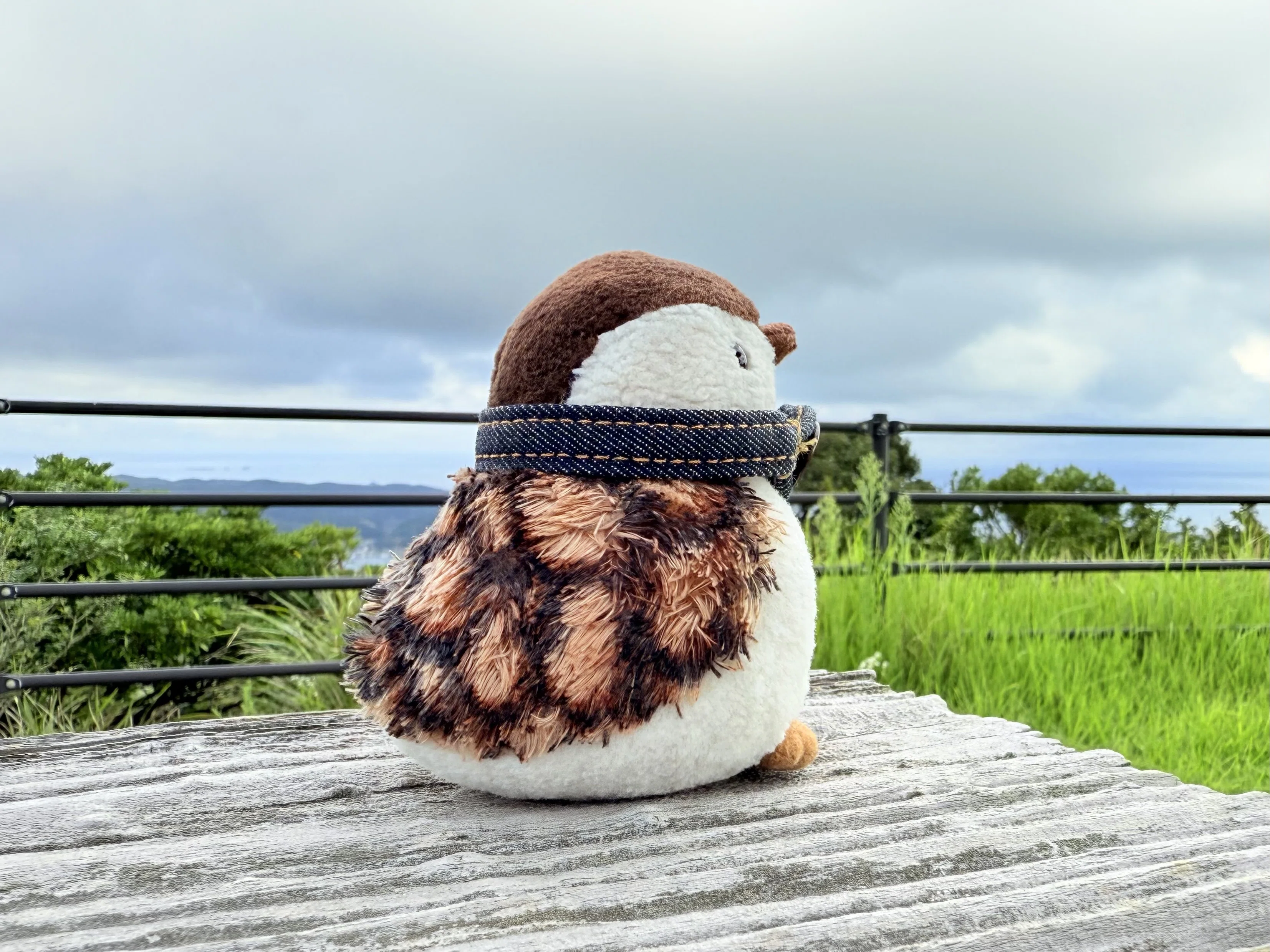 ぬい撮り】雷鳥ラックの冒険 ～対馬編｜Yukihiro🧸