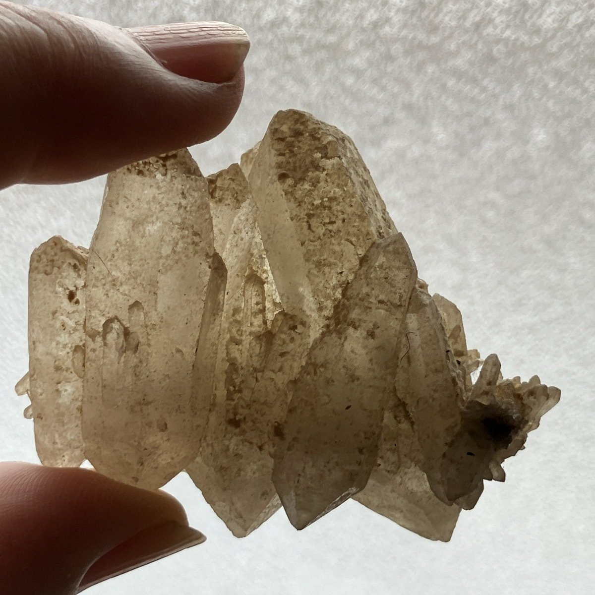 モンタナの癖強水晶｜さとうかよこ（きらら舎）