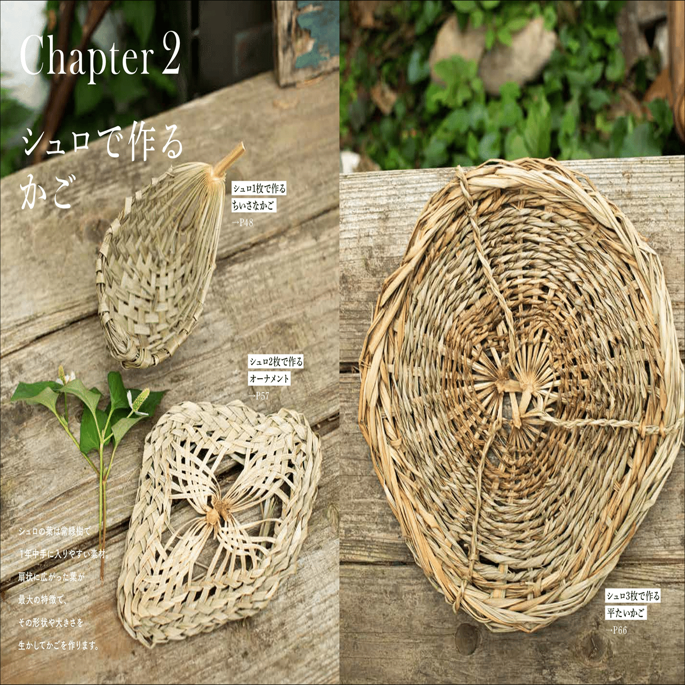 ツルや葉、捨ててしまうもので素敵なかごがつくれます。｜グラフィック社