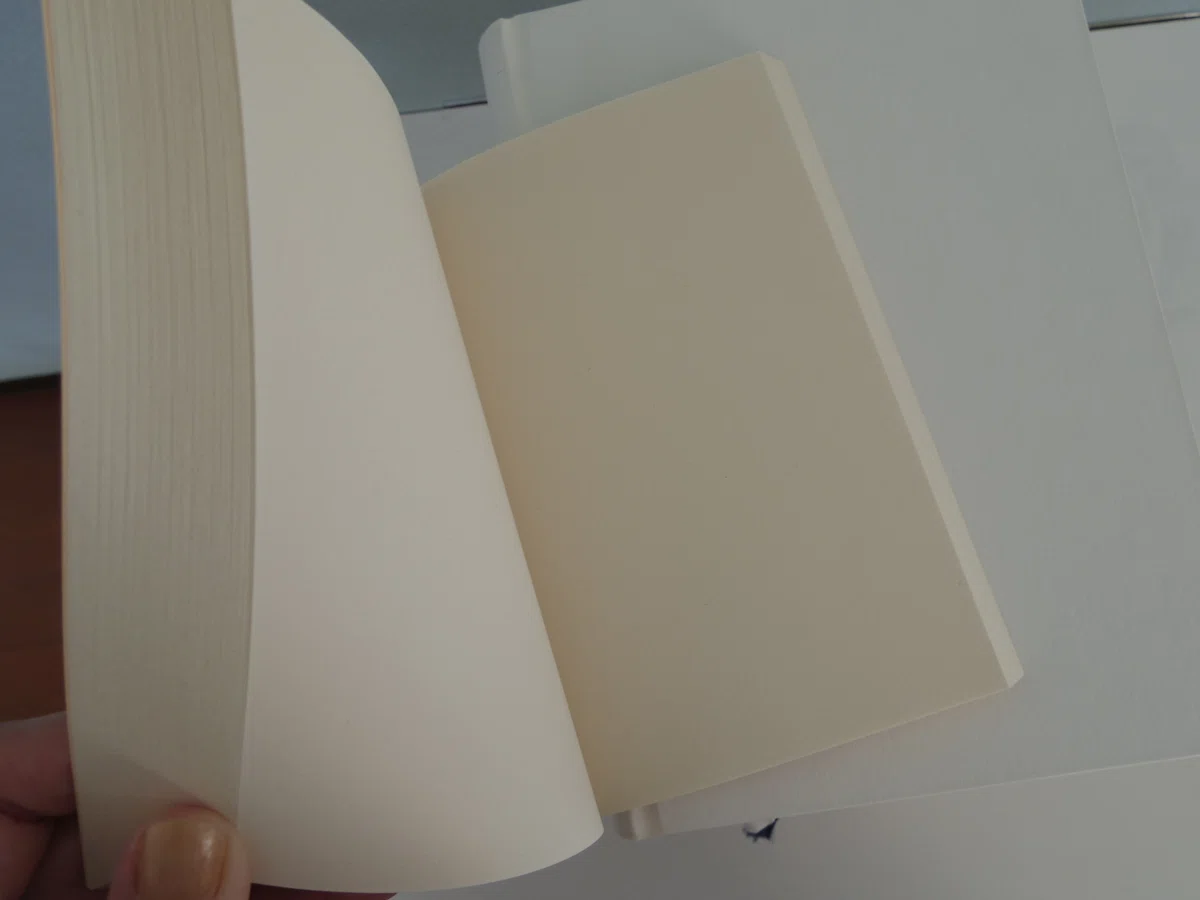 Writing in a blank notebook, a dummy book｜手帳Q子