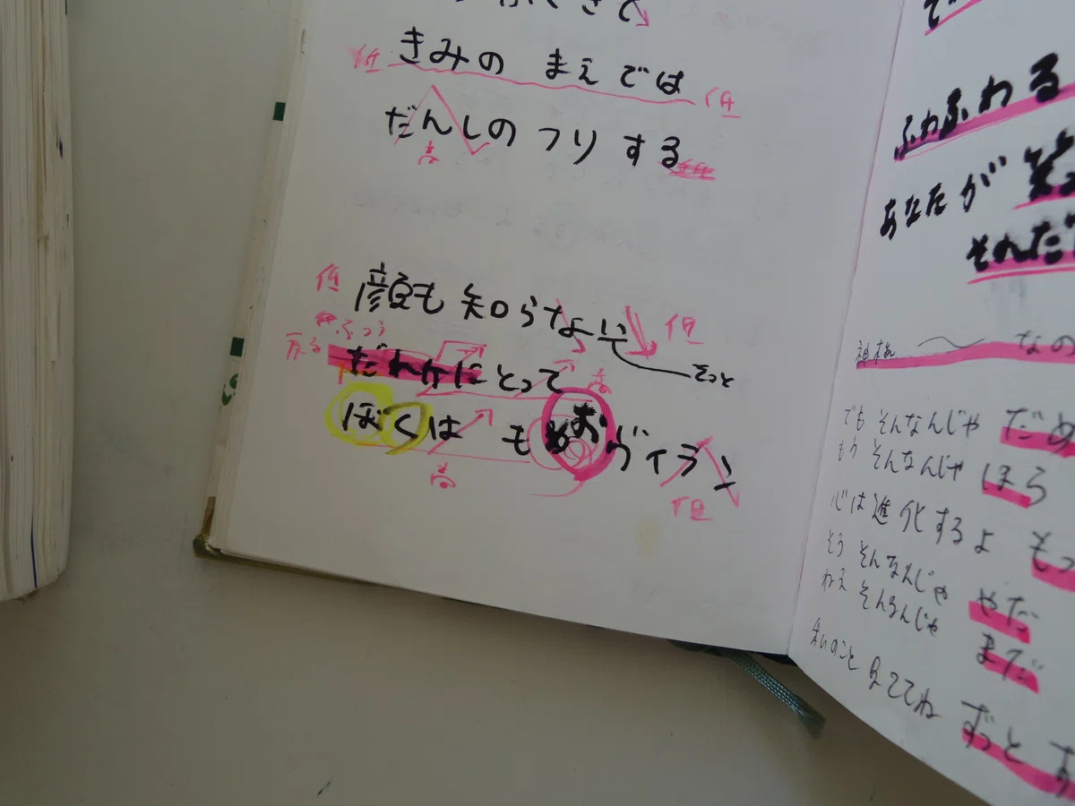 Writing in a blank notebook, a dummy book｜手帳Q子