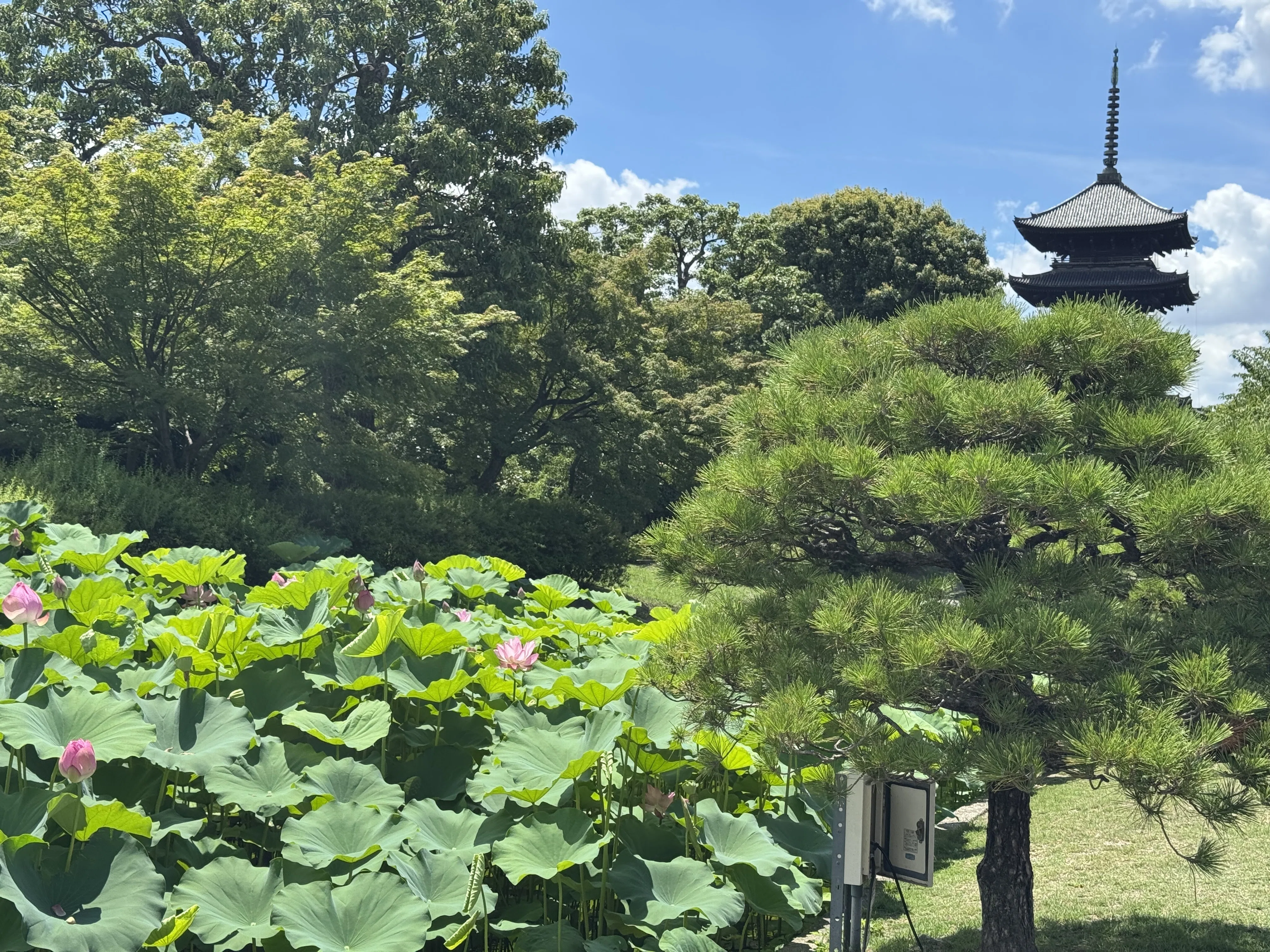 京都の骨董市で見つけた金のそろばん｜日本そろばん資料館