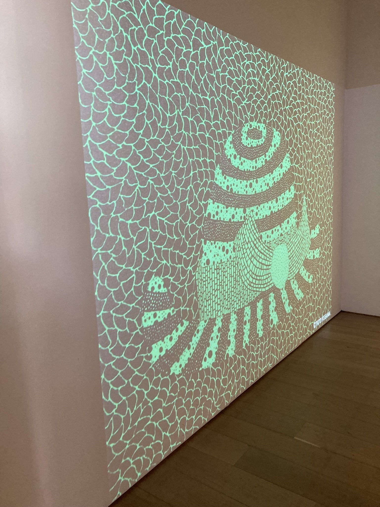 草間彌生 版画の世界―反復と増殖―京セラ美術館（20250828）｜やまいつ