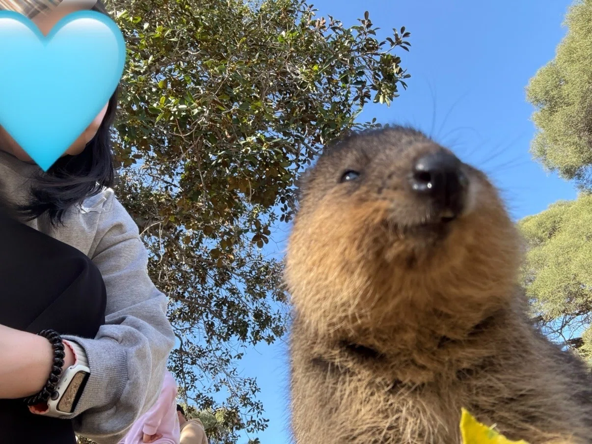 183パース旅ログ②世界一幸せな動物｜ぽっぽ