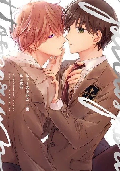 電子書籍 ボーイズラブ・BL漫画 週間売上ランキング👑【2025/08/30~09