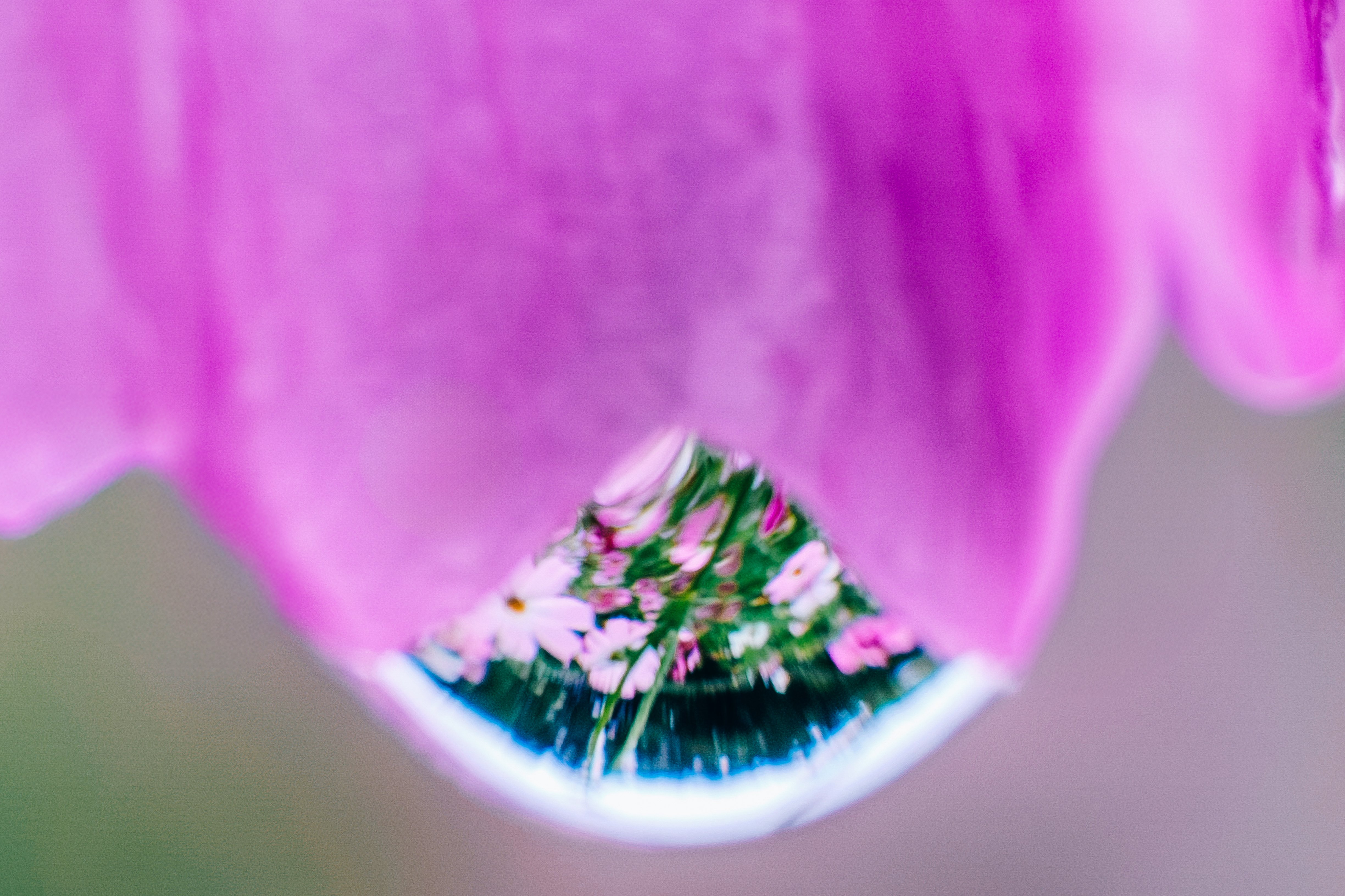 現役のミラーレスカメラ“X-T1”｜どいしゅんすけ