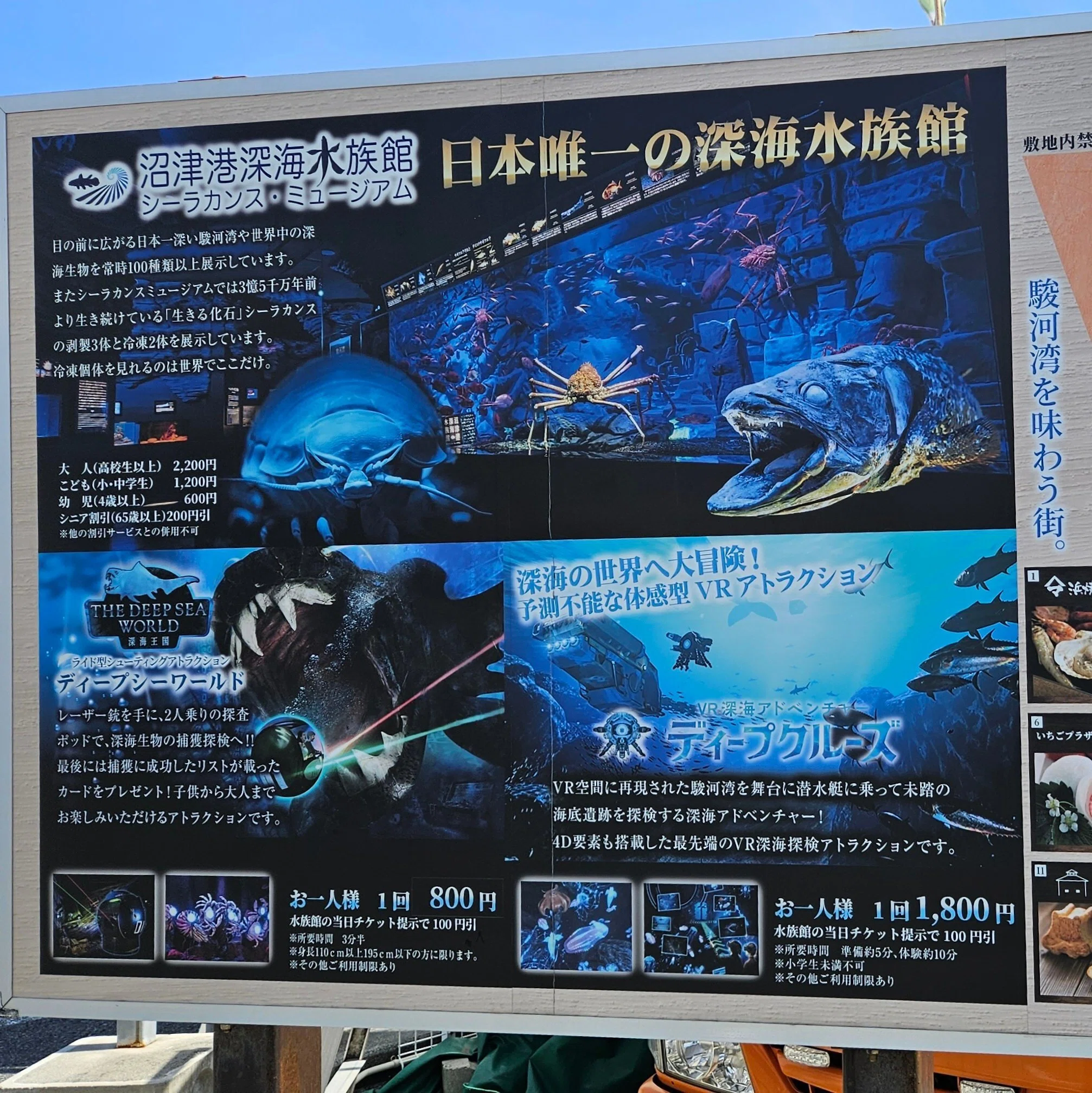 全国水族館の旅【67】沼津港深海水族館｜美原さつき