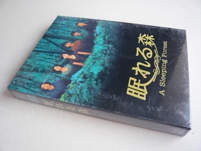 眠れる森 DVD-BOX〈4枚組〉中山美穂 木村拓哉 眠れる森 DVD-BOX 中山美穂 木村拓哉 仲村トオル 風間俊介