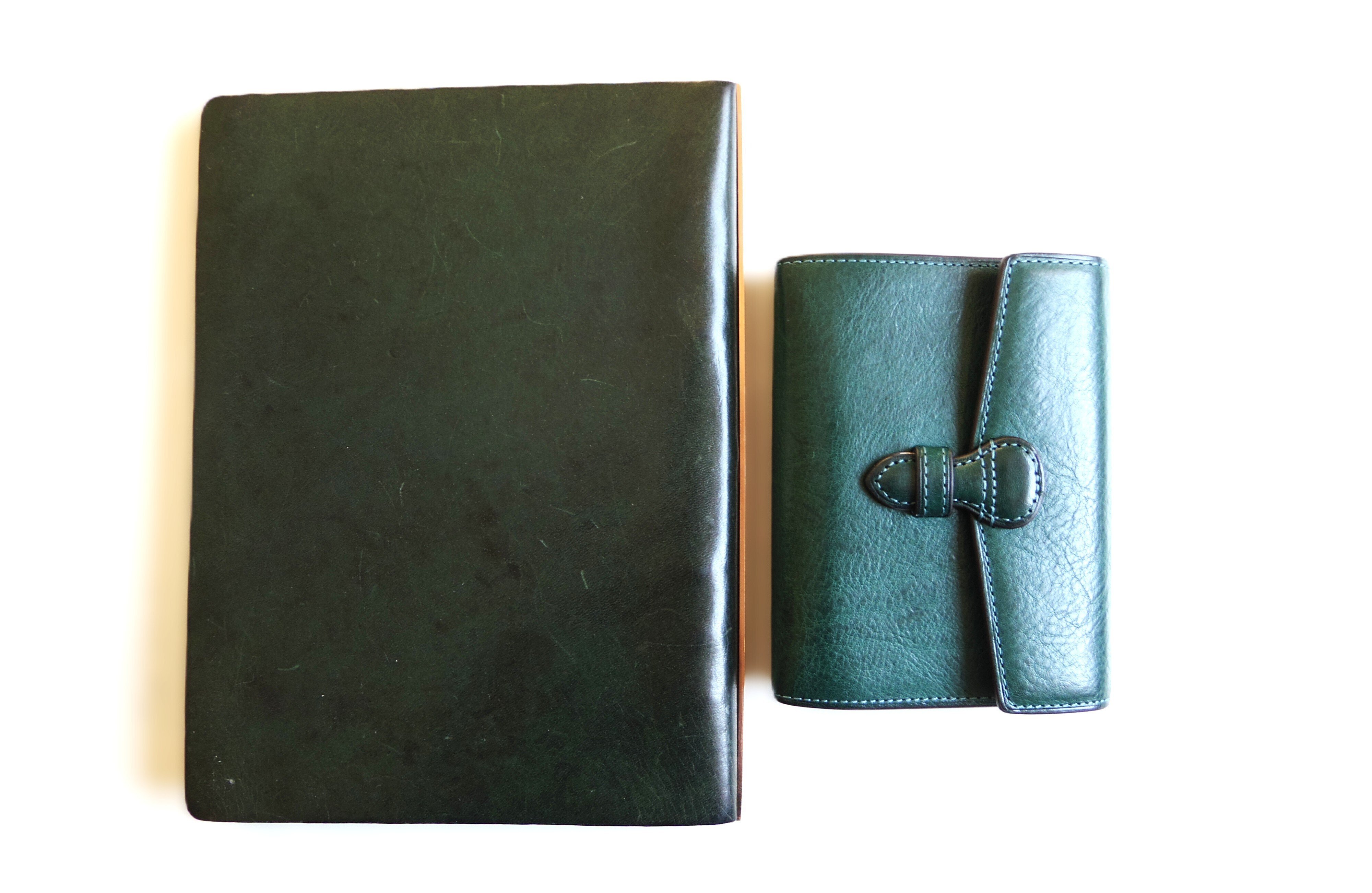 ぢっと手帳を見る～ミネルバ～｜手帳Q子