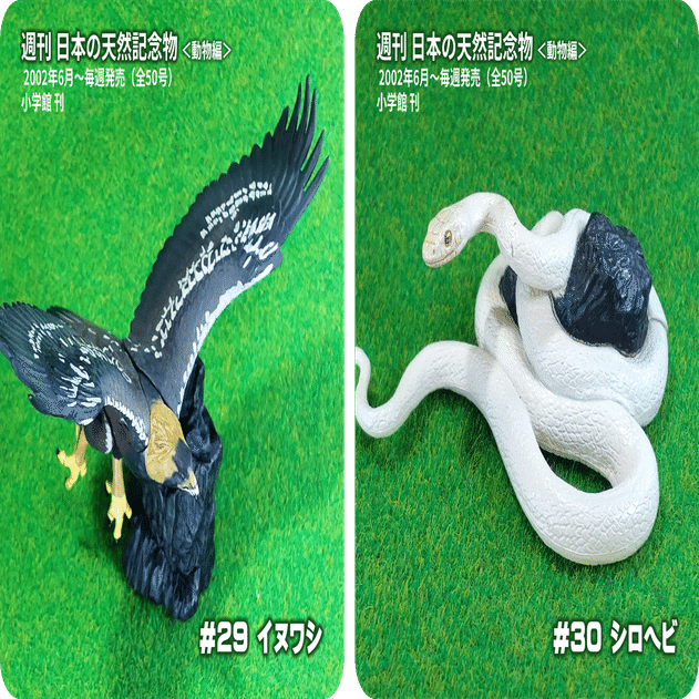 5年以下の懲役または30万円以下の罰金を逃れ、天然記念物を愛でる方法