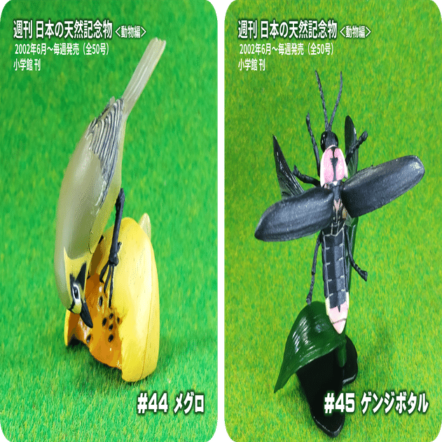 5年以下の懲役または30万円以下の罰金を逃れ、天然記念物を愛でる方法