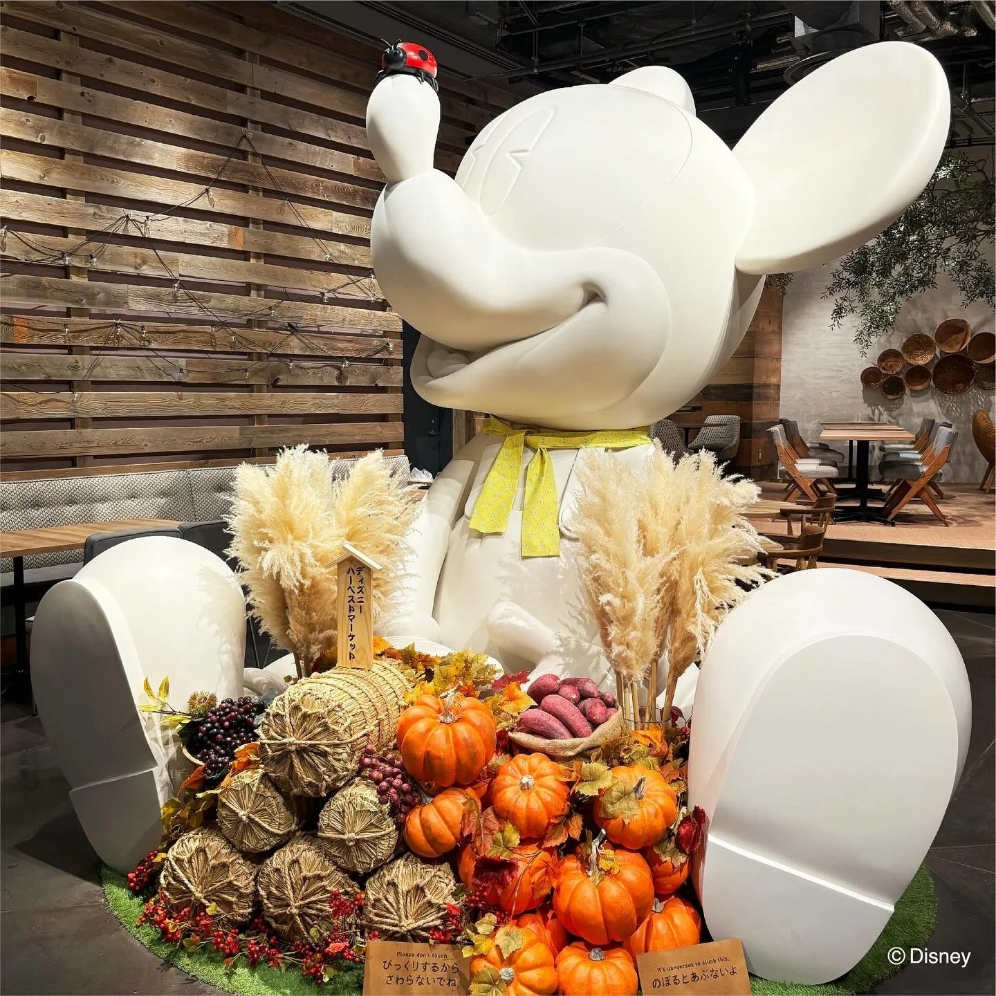 Disney Harvest Market Autumn 2025 Menu • TDR Explorer