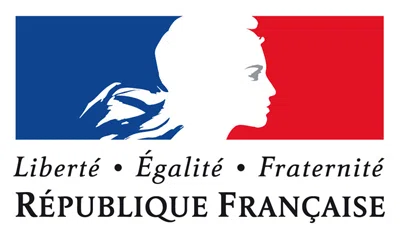 12 仏検やDELFDALFに受かってもフランス語ネイティブとまともに話せない理由 その 語学センスの伸ばし方