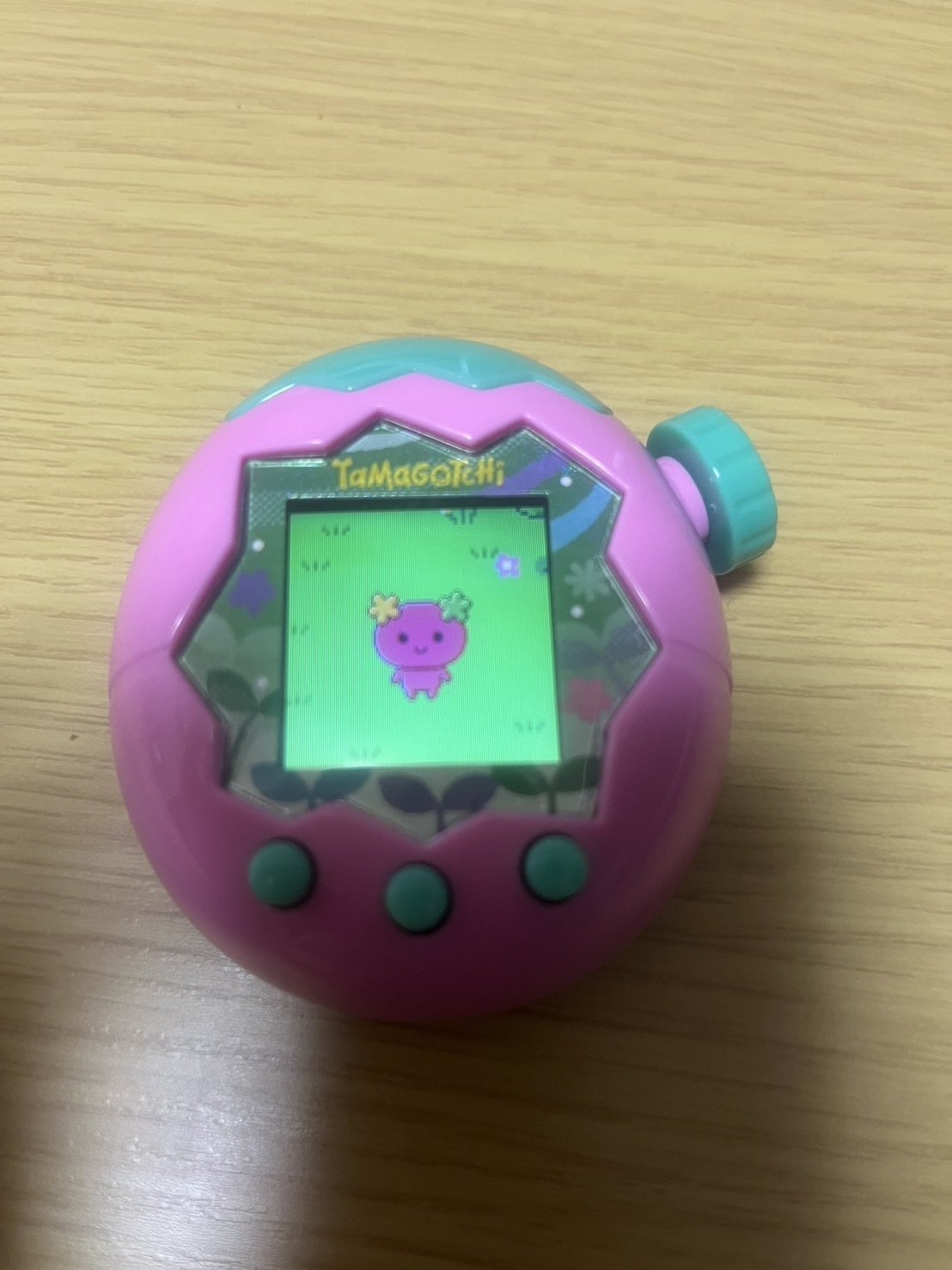 平成初期生まれの久々のたまごっち｜りょか