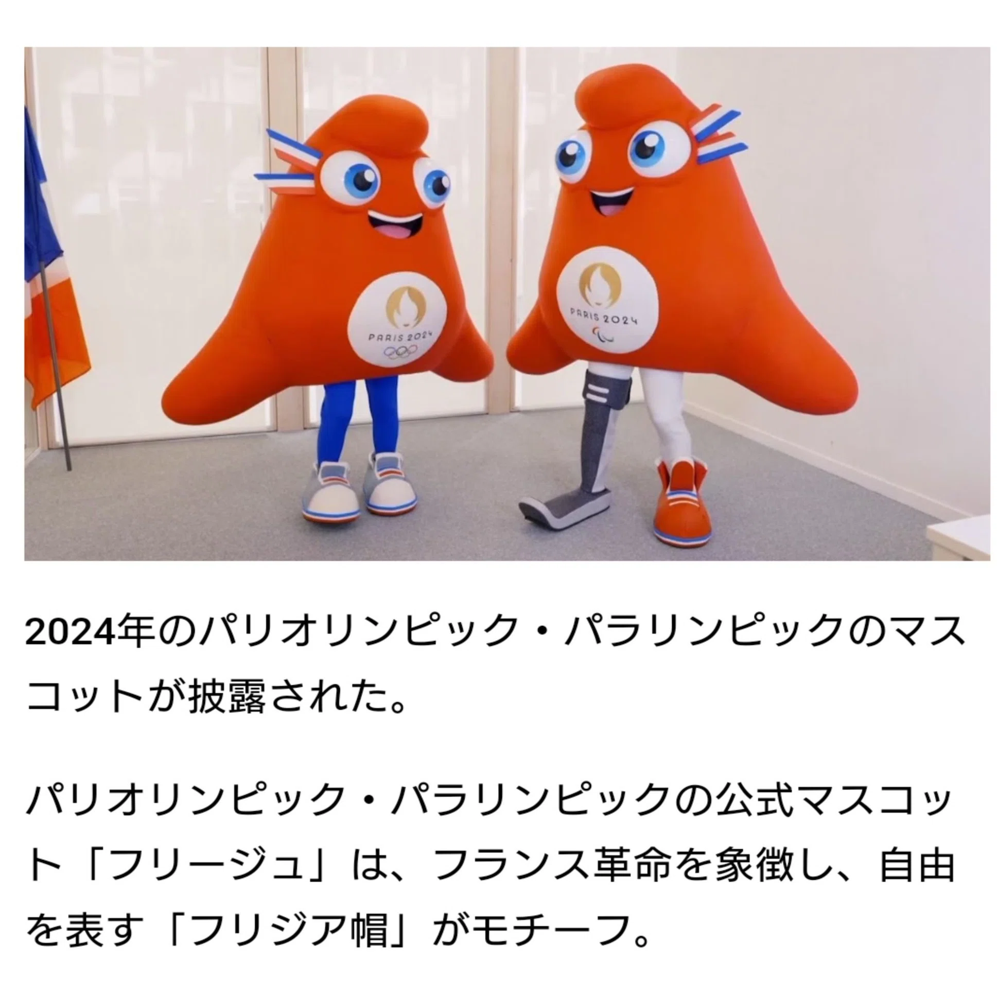 12 仏検やDELFDALFに受かってもフランス語ネイティブとまともに話せ