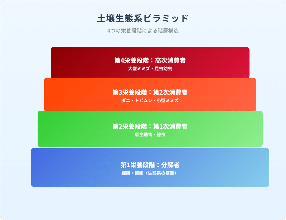 【初版・絶版】新・土の微生物〈5〉系統分類からみた土の細菌 土・牛・微生物ー文明の衰退を食い止める土の話 | デイビッド
