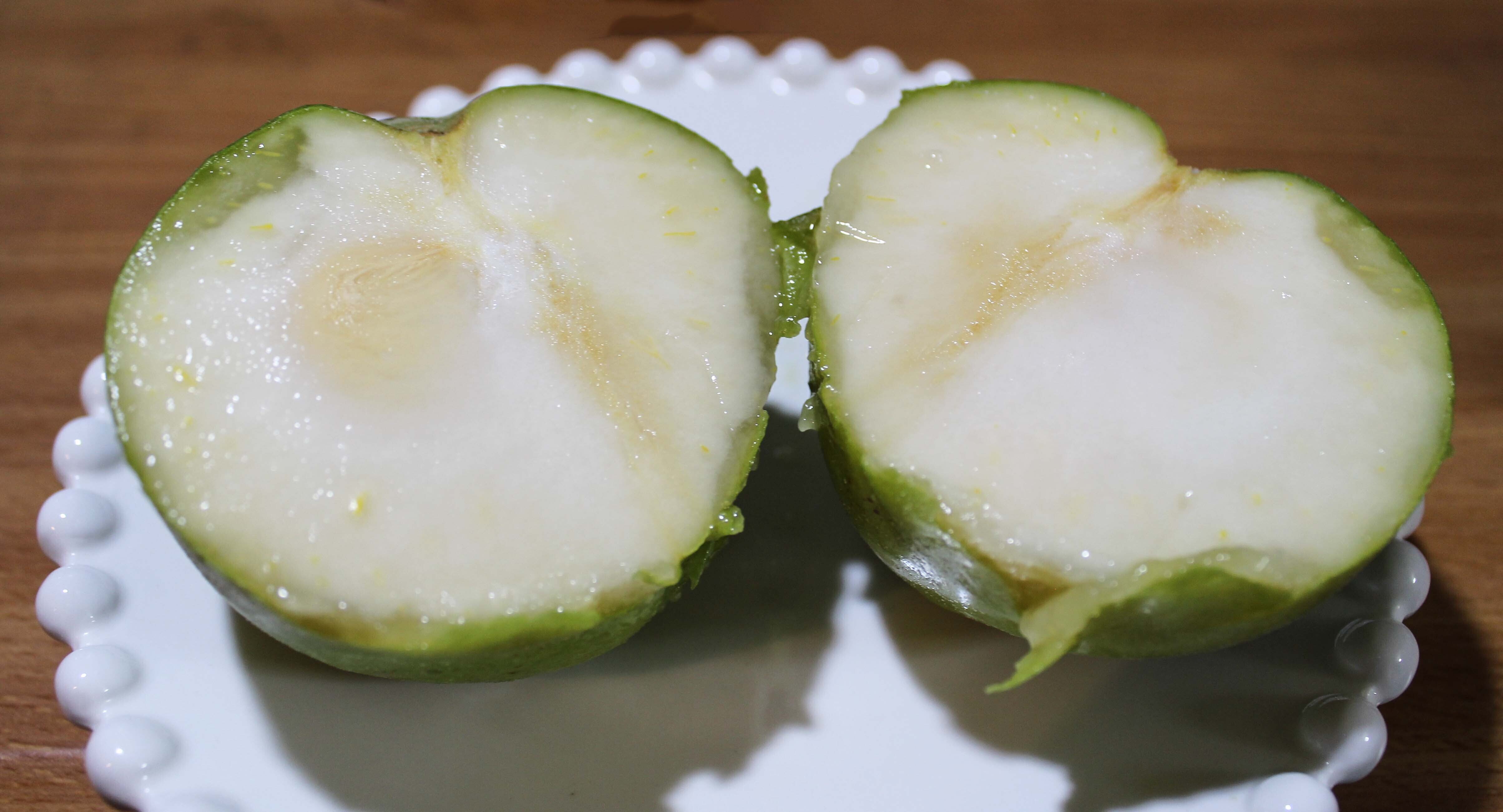 ホワイトサポテ｜yama yama