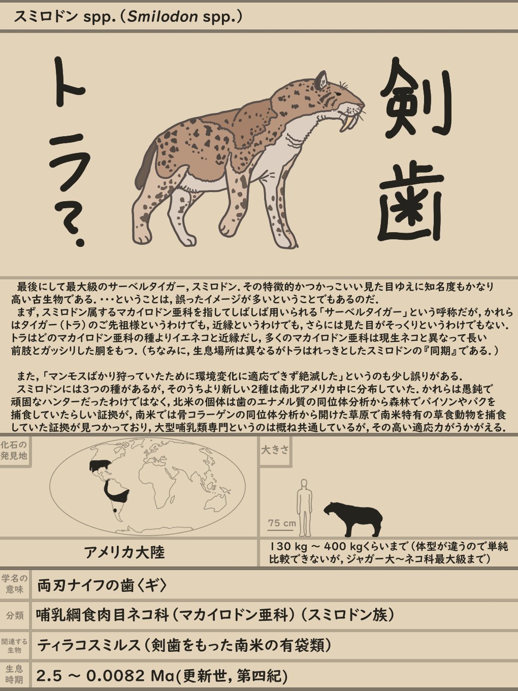 35 サーベル「タイガー」？ スミロドン！｜やんわりッ古生物