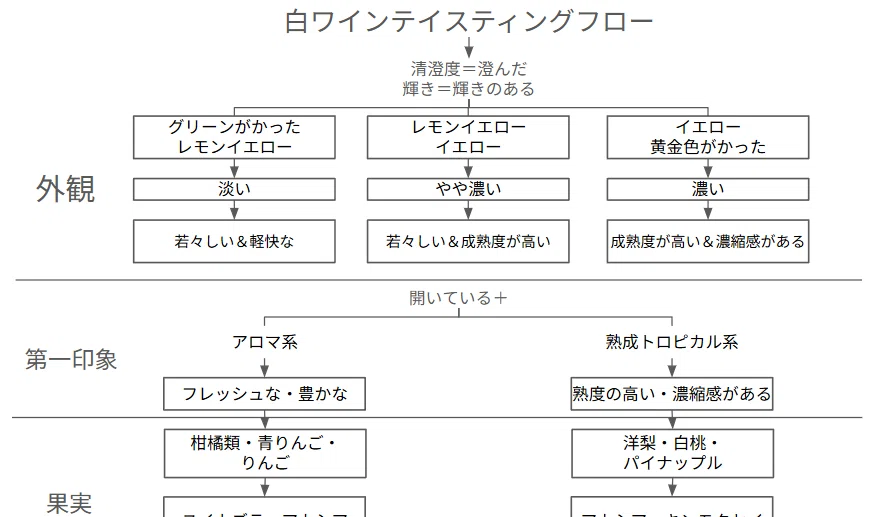 ソムリエ試験対策：テイスティング対策【白ワイン編】過去問＋α162