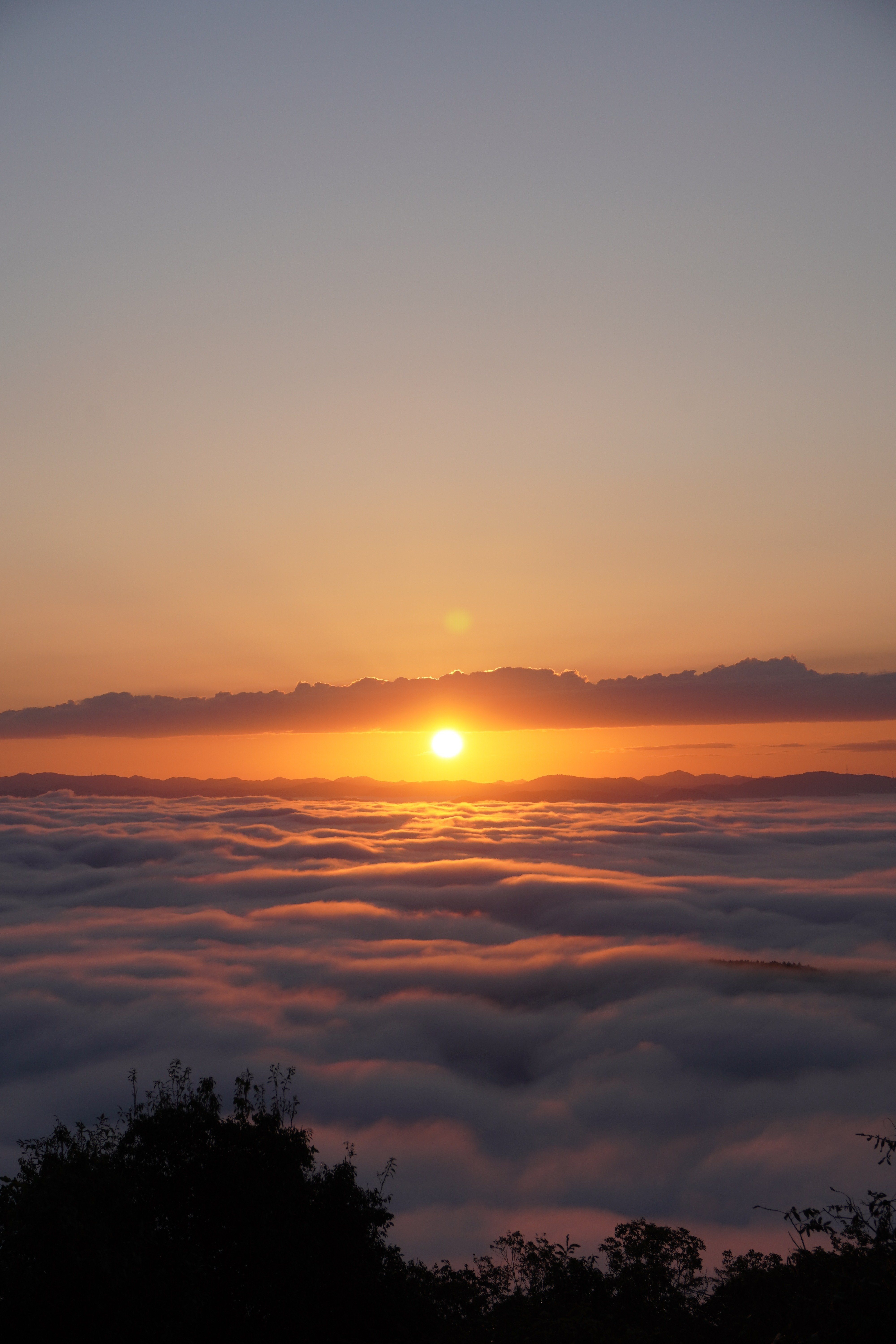 雲・霧・雲海の違いと種類｜広島・高谷山展望台で楽しむ幻想的な絶景