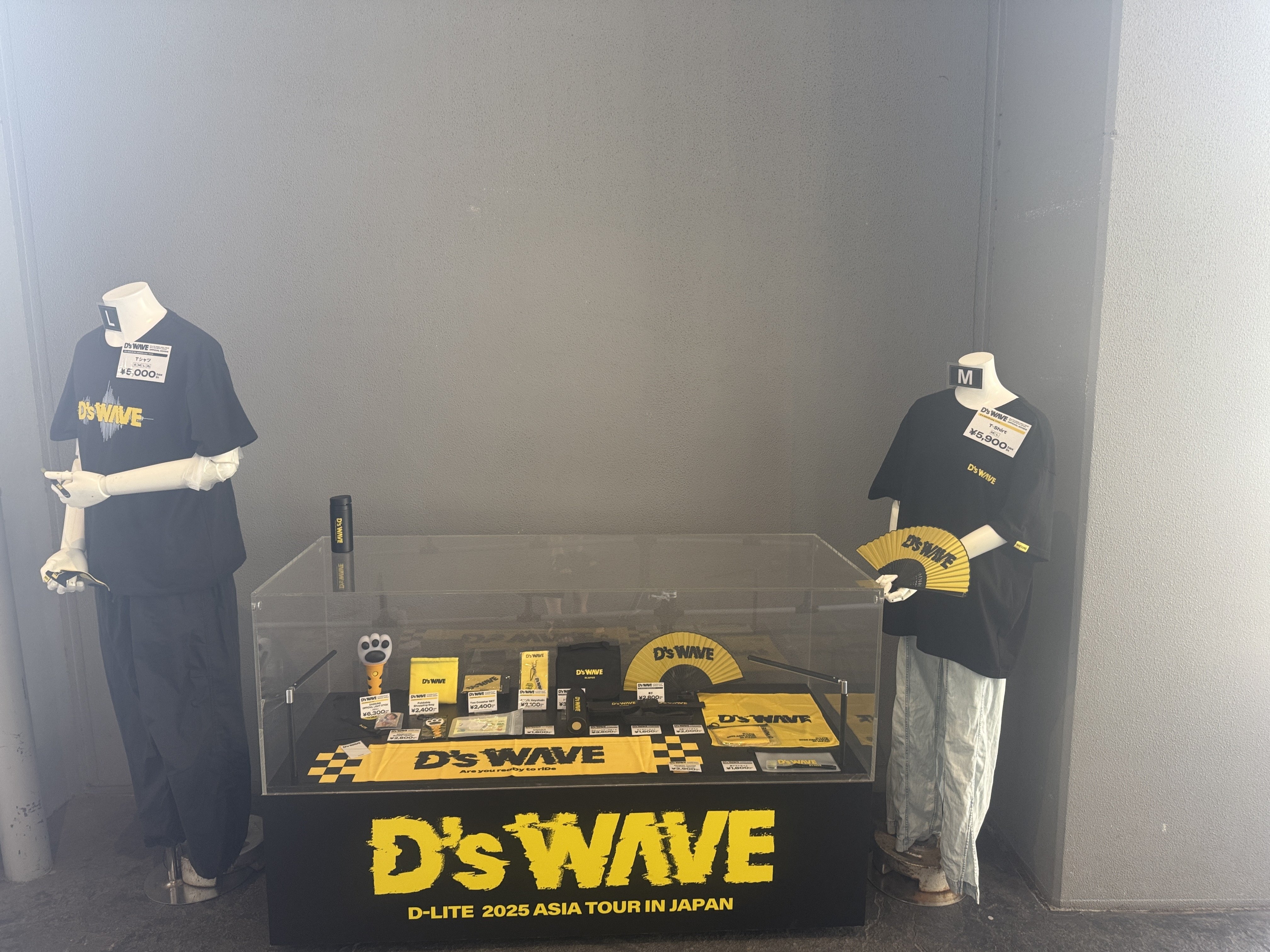 参戦レポ】D-LITE D'z WAVE 8/30・31 横浜ぴあアリーナMM｜kayoko3