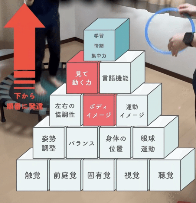 幼児期に大切な感覚統合と発達ピラミッド〜将来のにも役立つ力〜