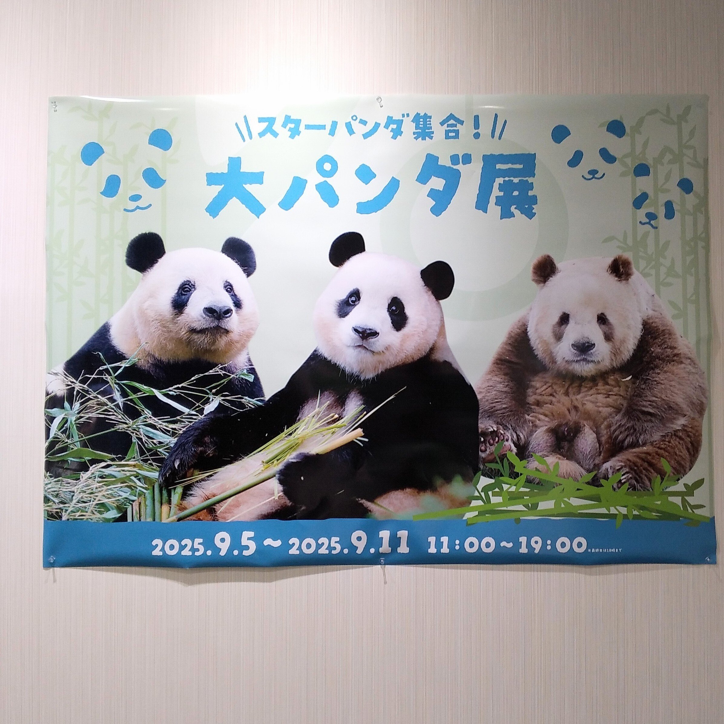 高田馬場で9/11までパンダイベント！ 台風の中初日に行ってきた「大