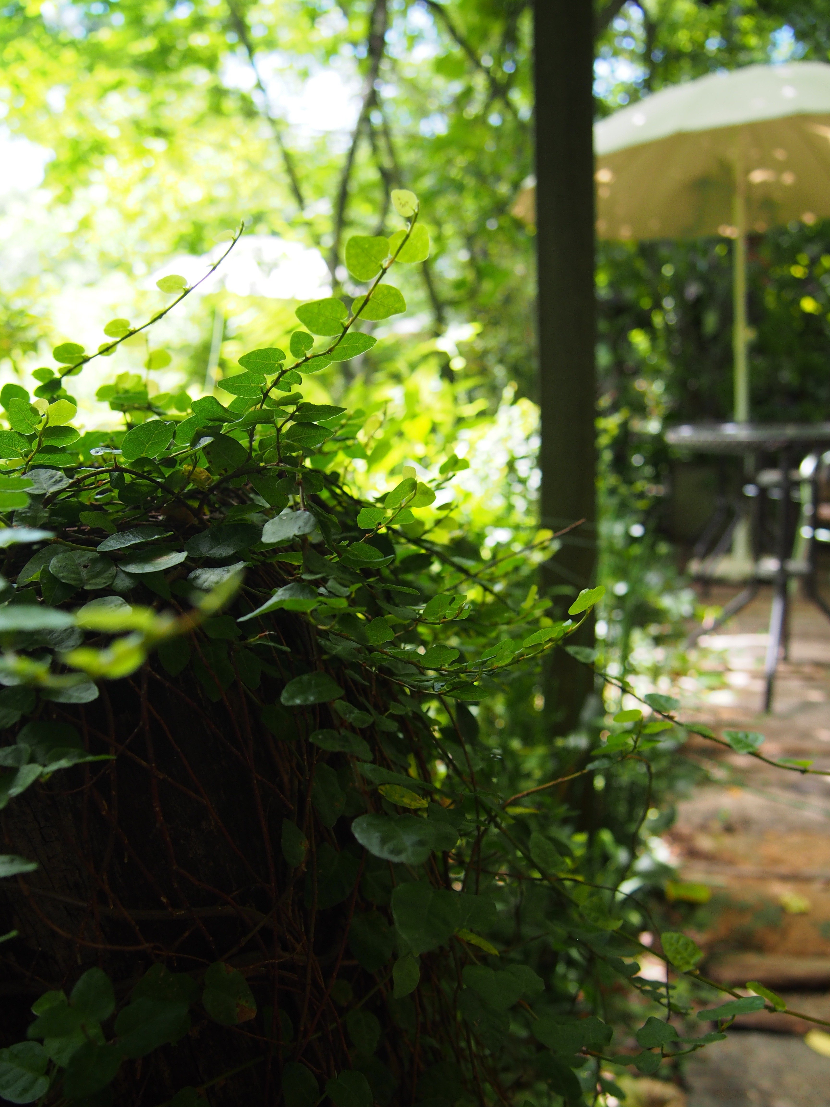 私だけの庭園♡ガーデンクォーツ 私だけの庭園♡ガーデンクォーツ