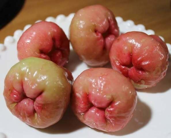 レンブ｜yama yama