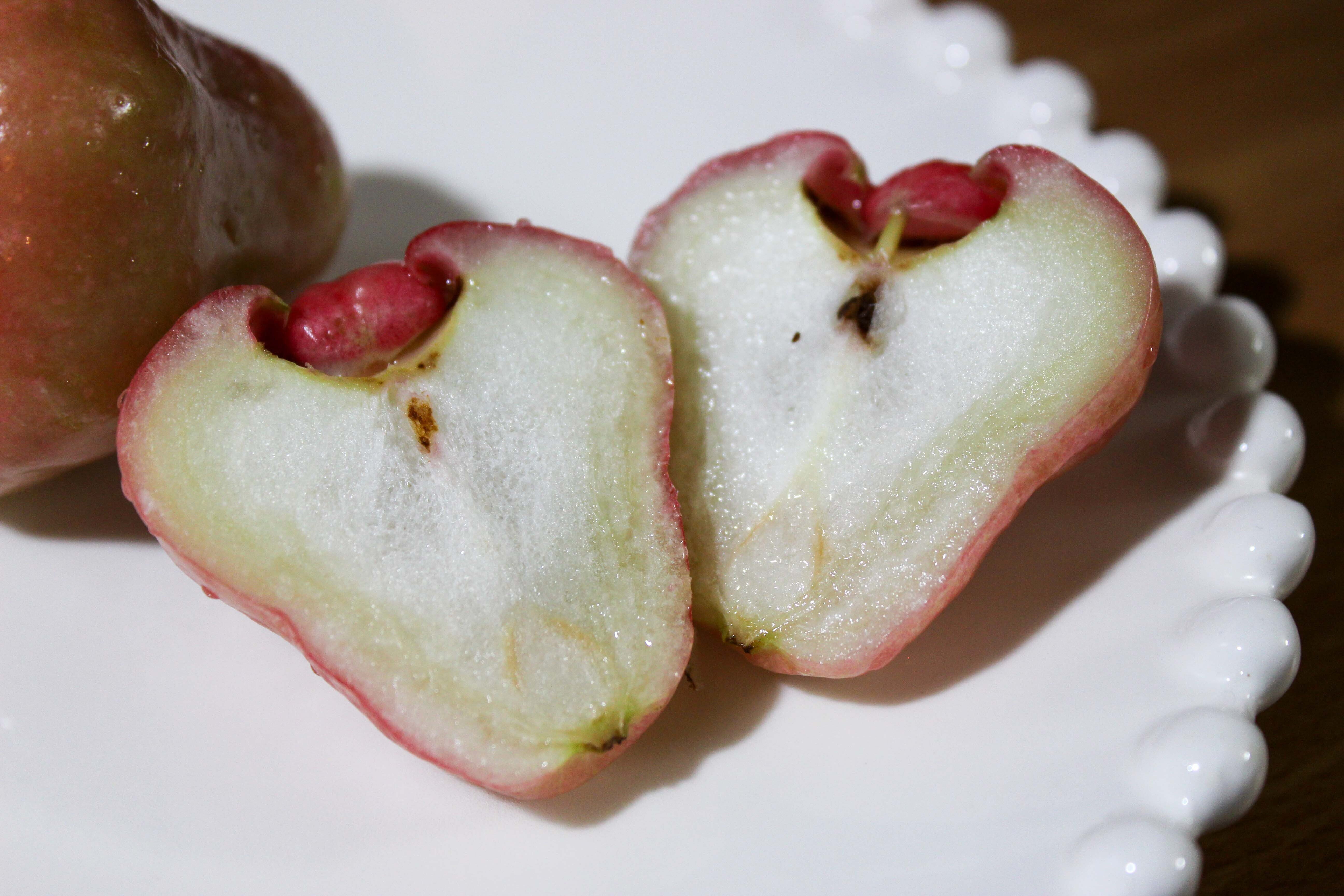 レンブ｜yama yama