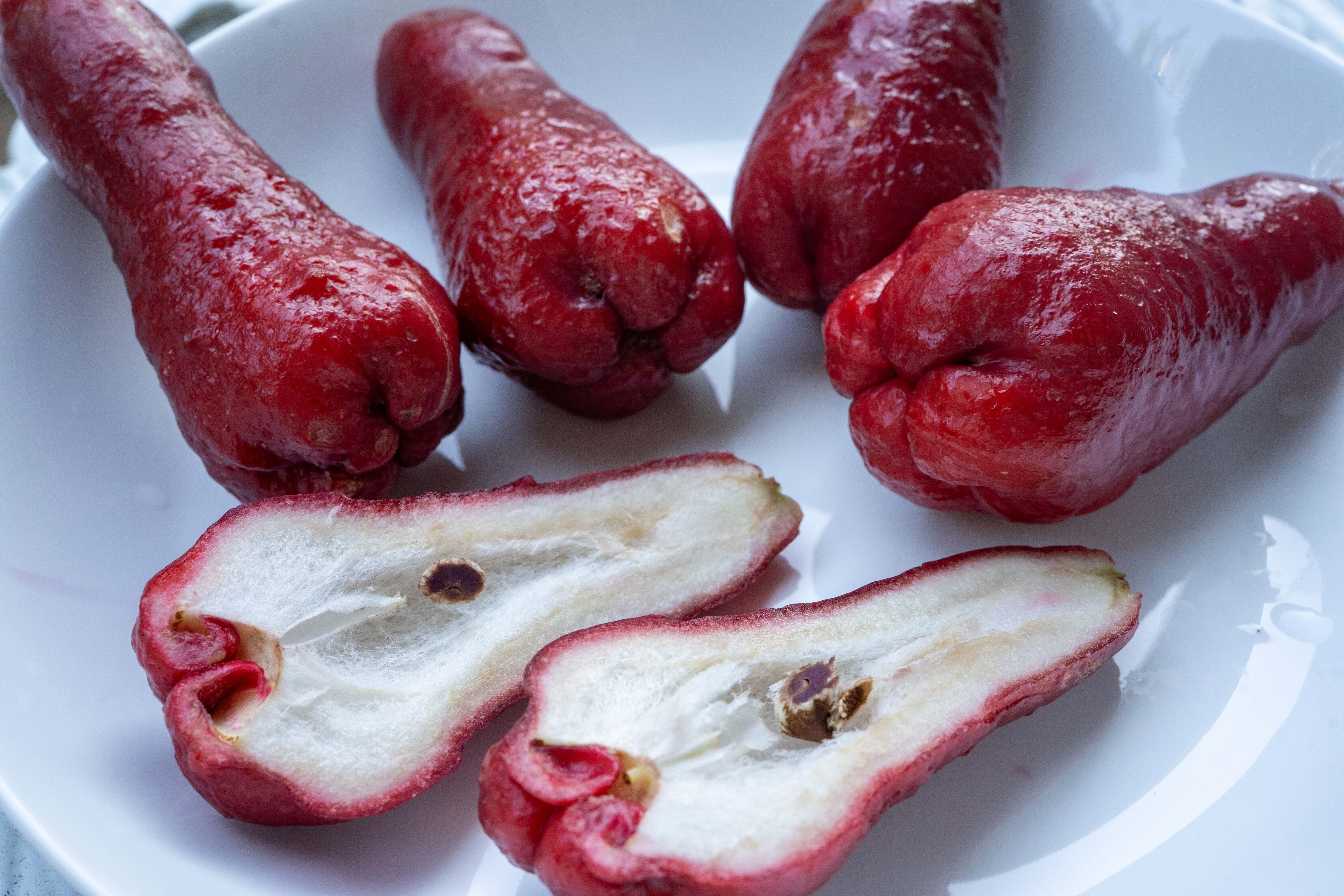 レンブ｜yama yama