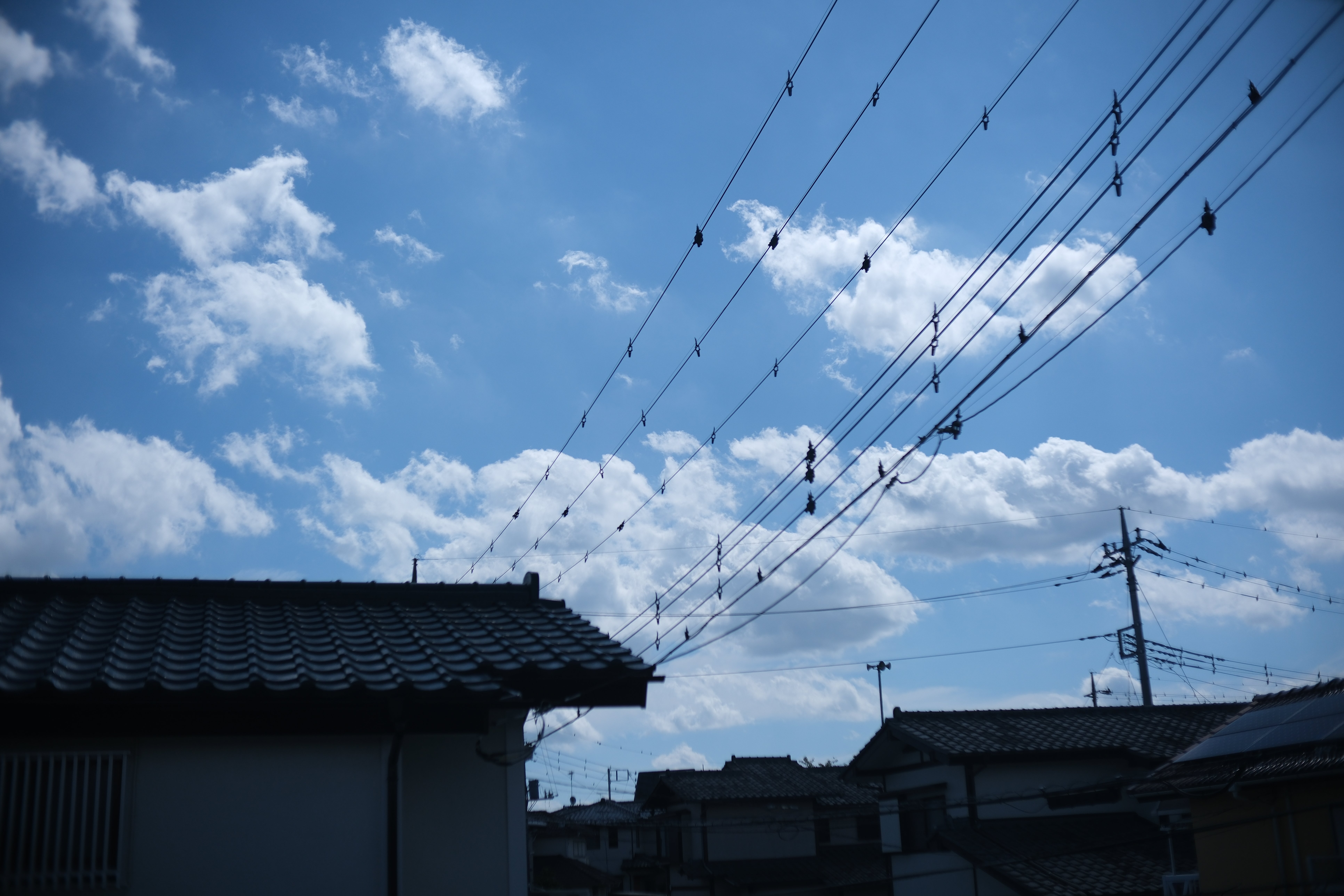 写真の確認用です X-S10でのSG-Image 25mm f/1.8 AFレンズの第一印象 : r/fujifilm