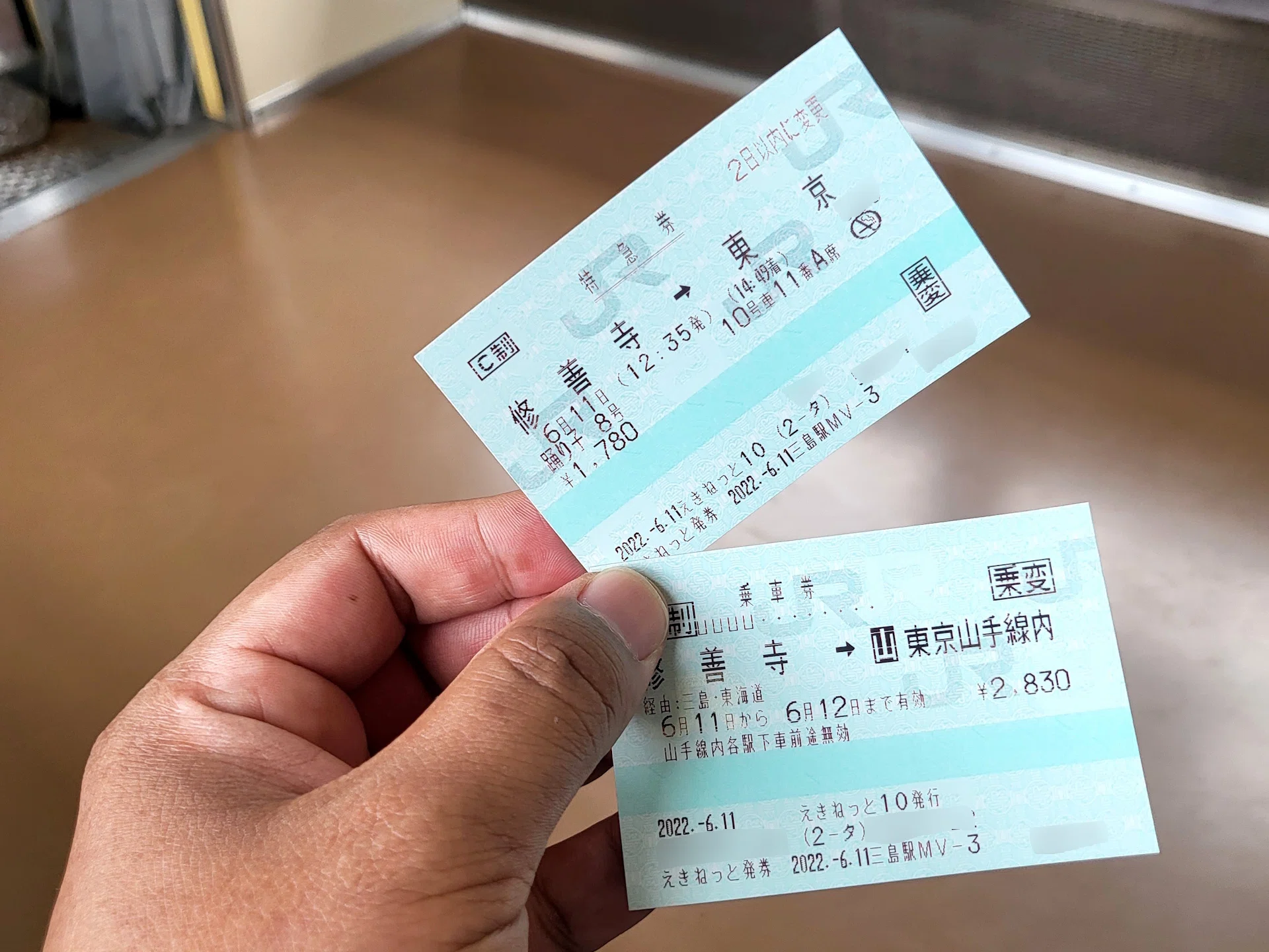 特急踊り子(修善寺編成)」の乗車券・特急券購入は意外と難しい?｜せう