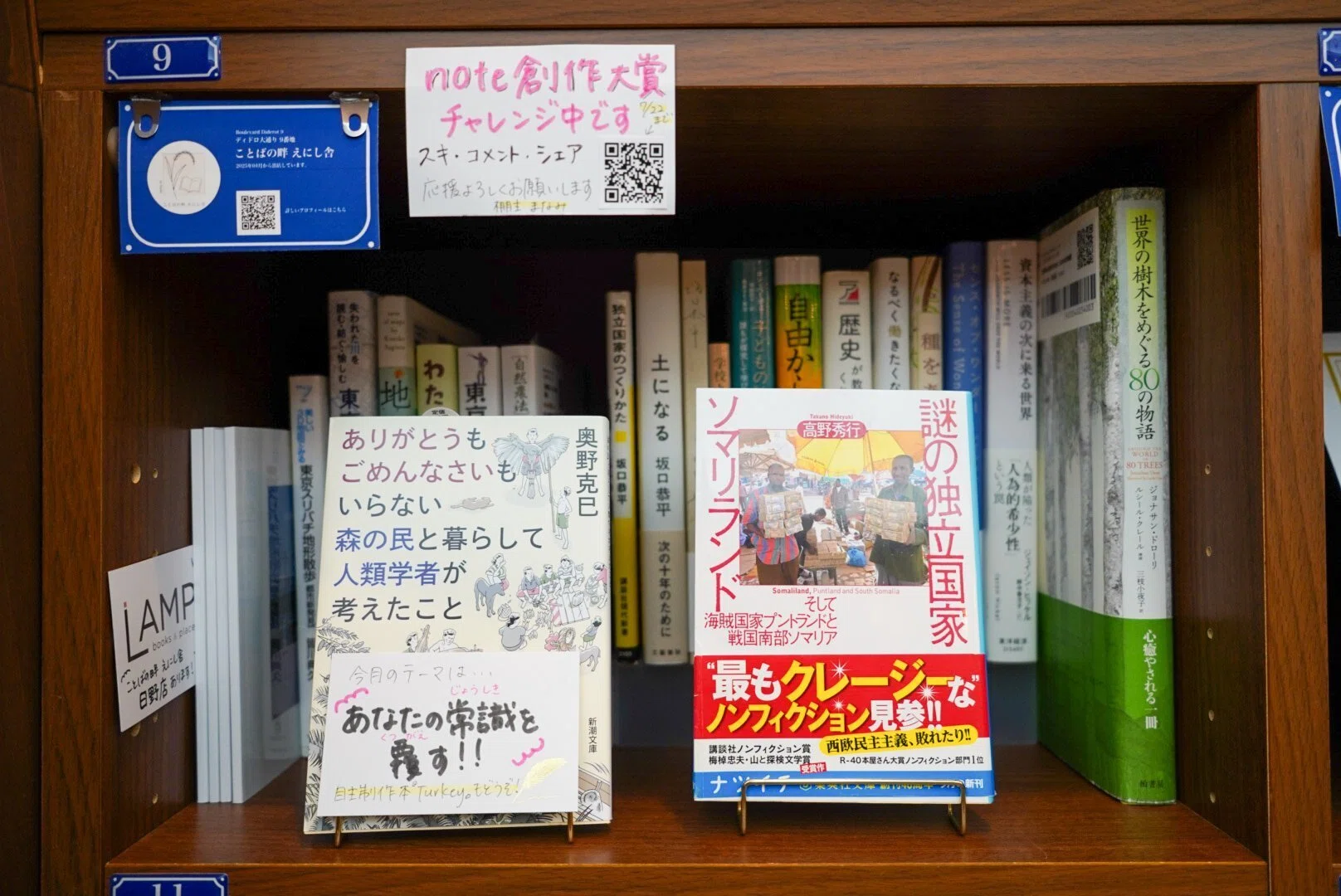 過去最高に本を仕入れたので、本棚のプチジャンルを紹介してみます