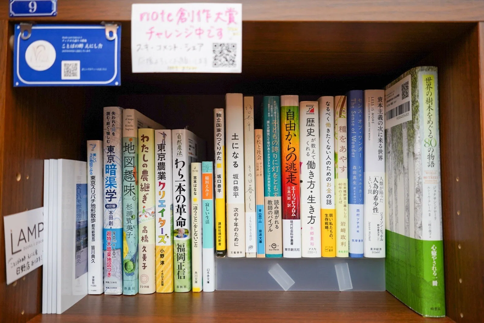 過去最高に本を仕入れたので、本棚のプチジャンルを紹介してみます