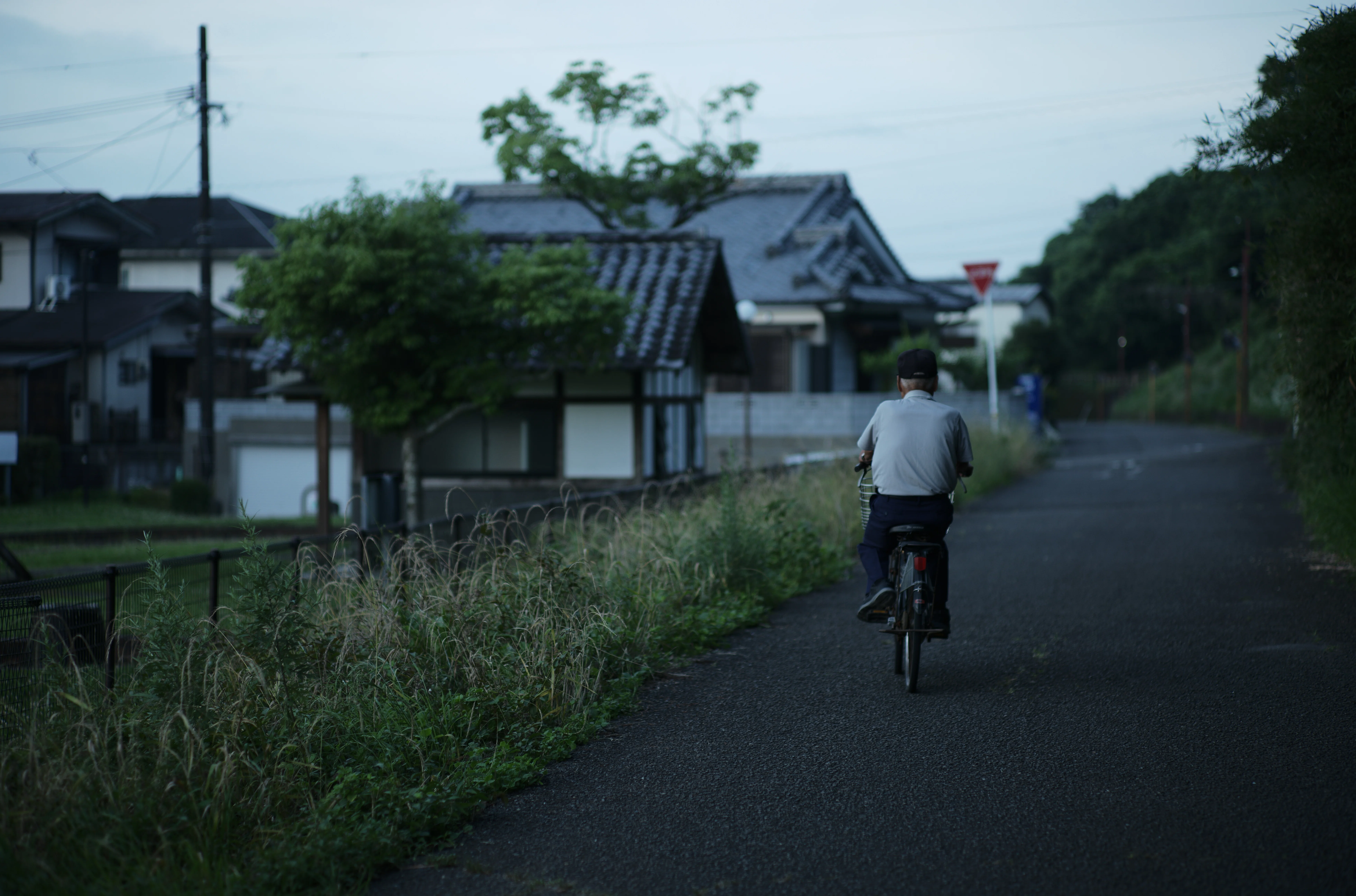 Summicron 90mm f2 3rdを改めて使ってみる｜nay
