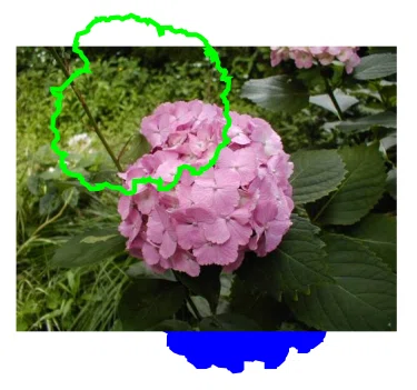 [Image Bordering] How to add a border around an image cropped in ...