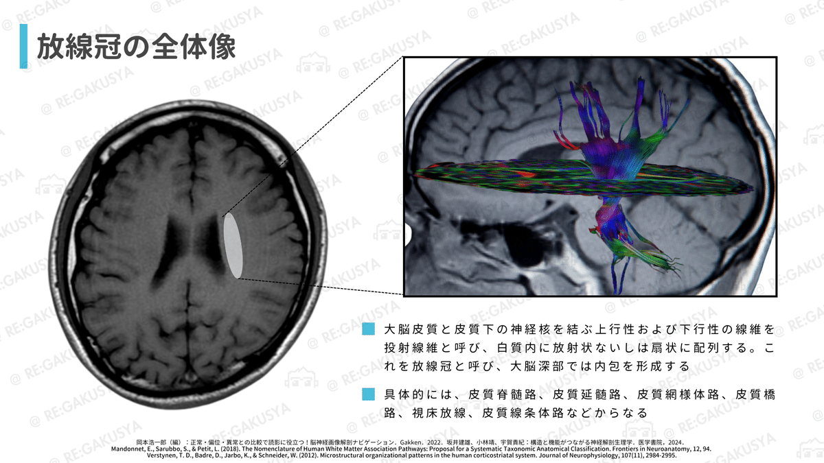 正奇経統合理論とその臨床 正奇経統合理論とその臨床 正奇経統合理論とその臨床